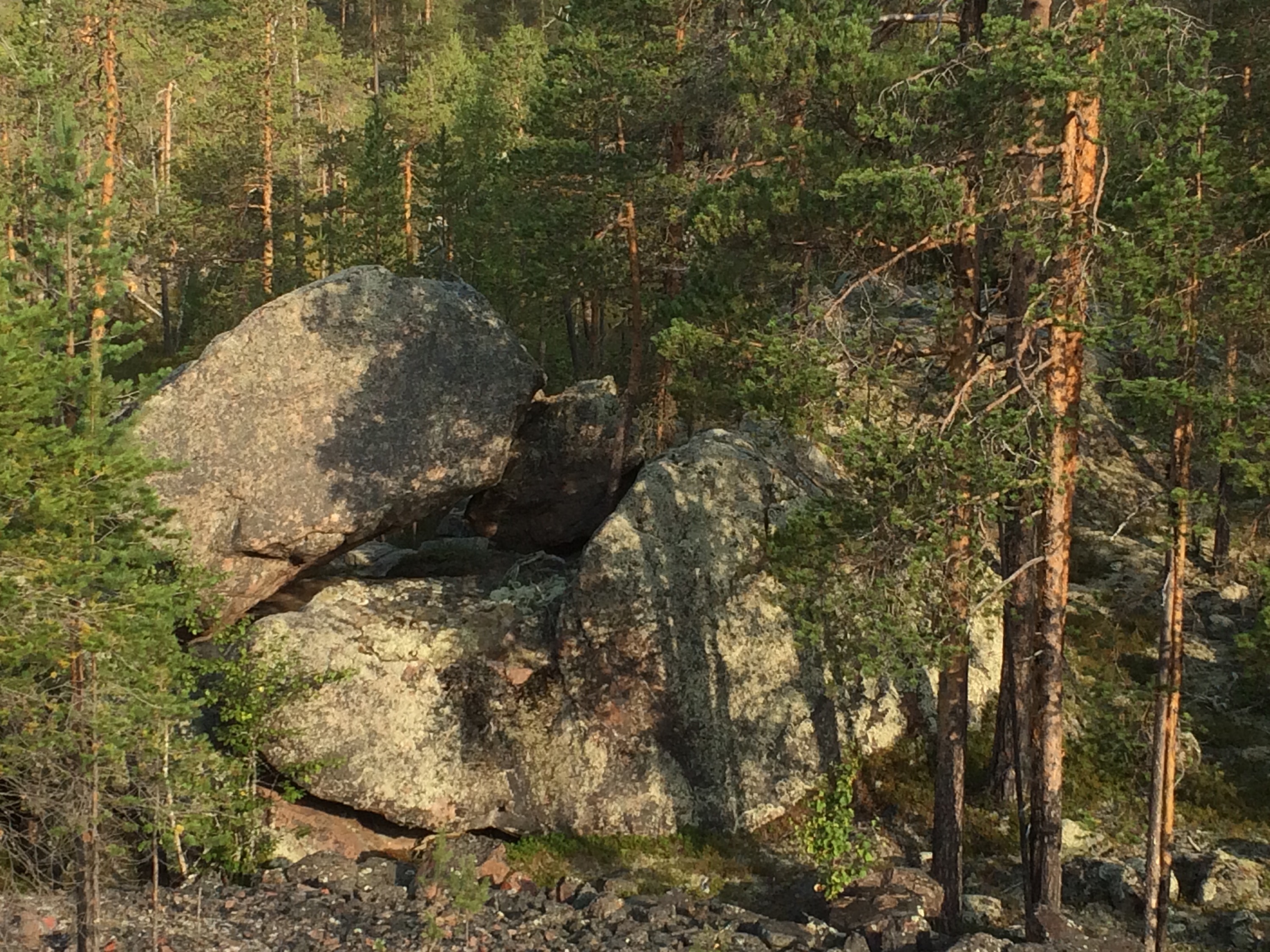 This image has an empty alt attribute; its file name is img_2539.jpg