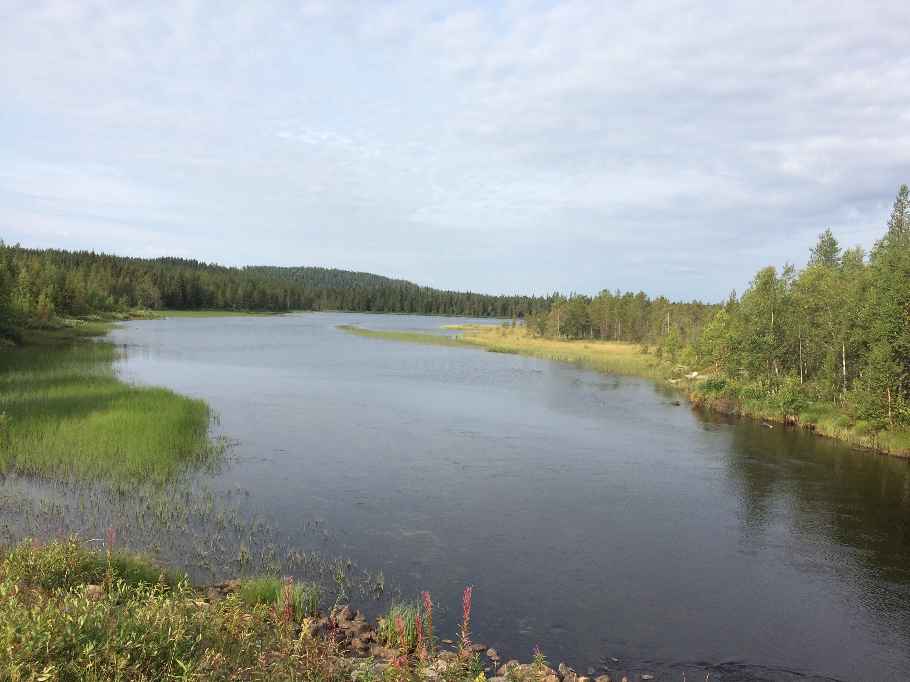 This image has an empty alt attribute; its file name is img_2542.jpg