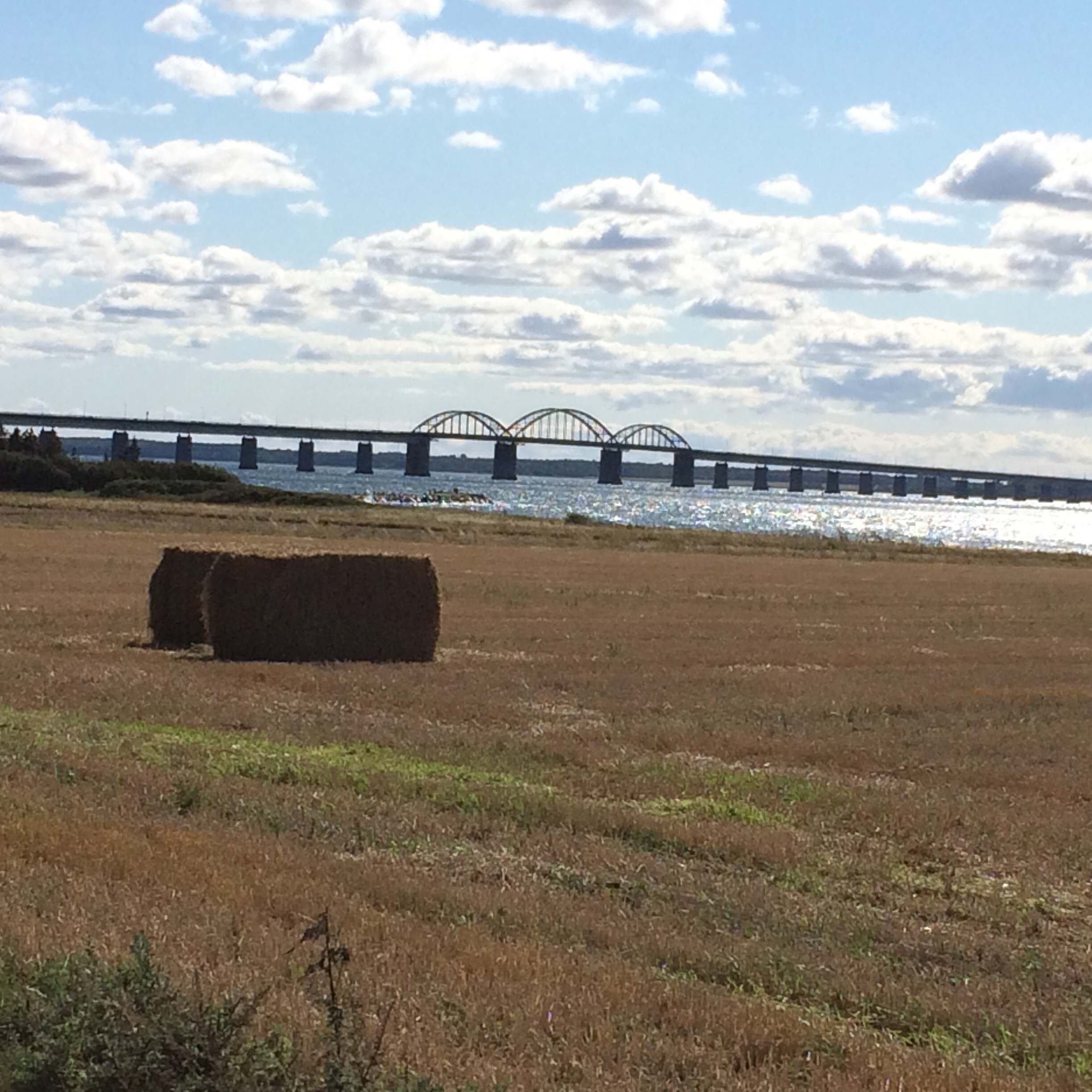 This image has an empty alt attribute; its file name is img_2851-0.jpg