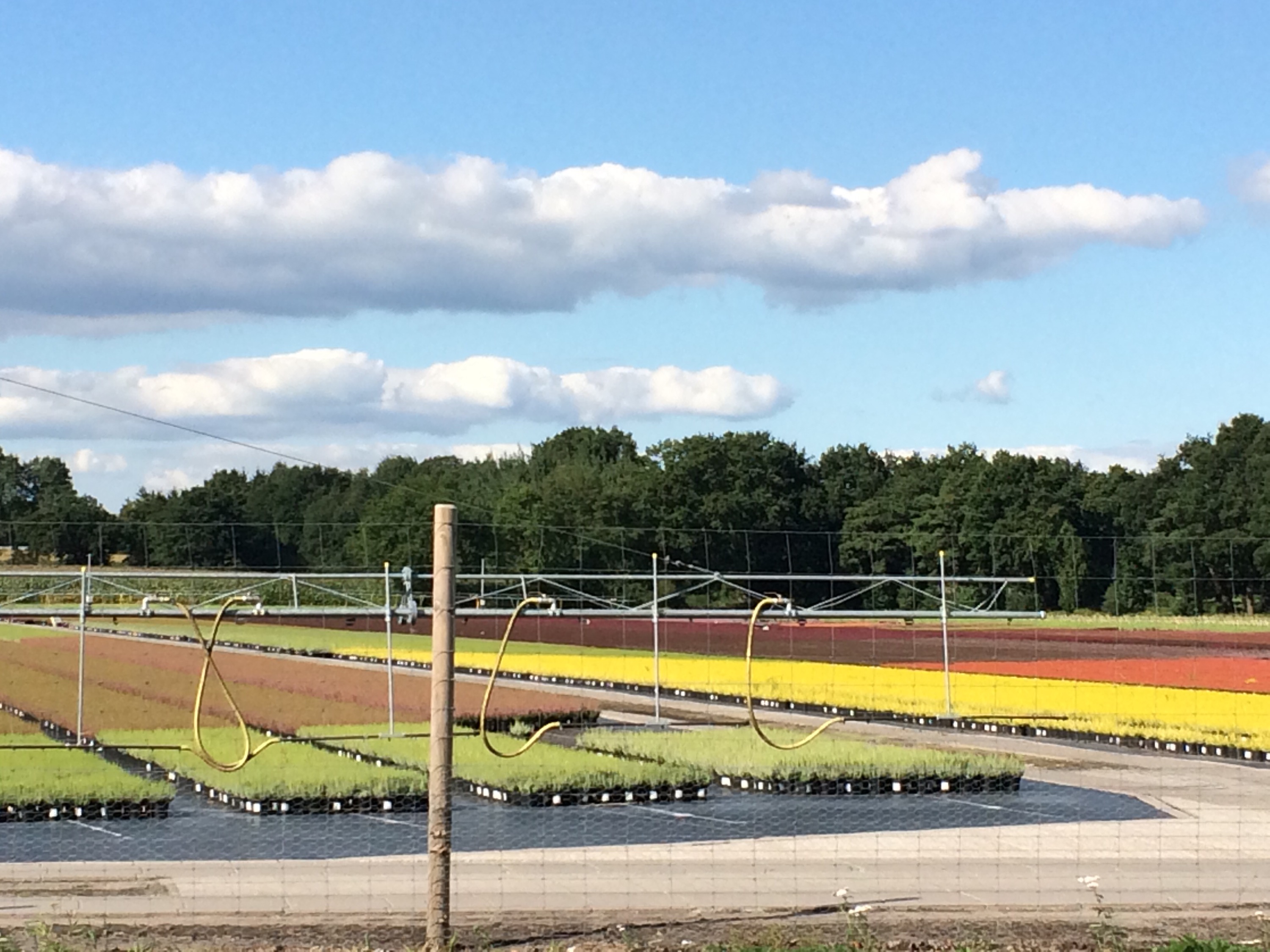 This image has an empty alt attribute; its file name is img_2904.jpg