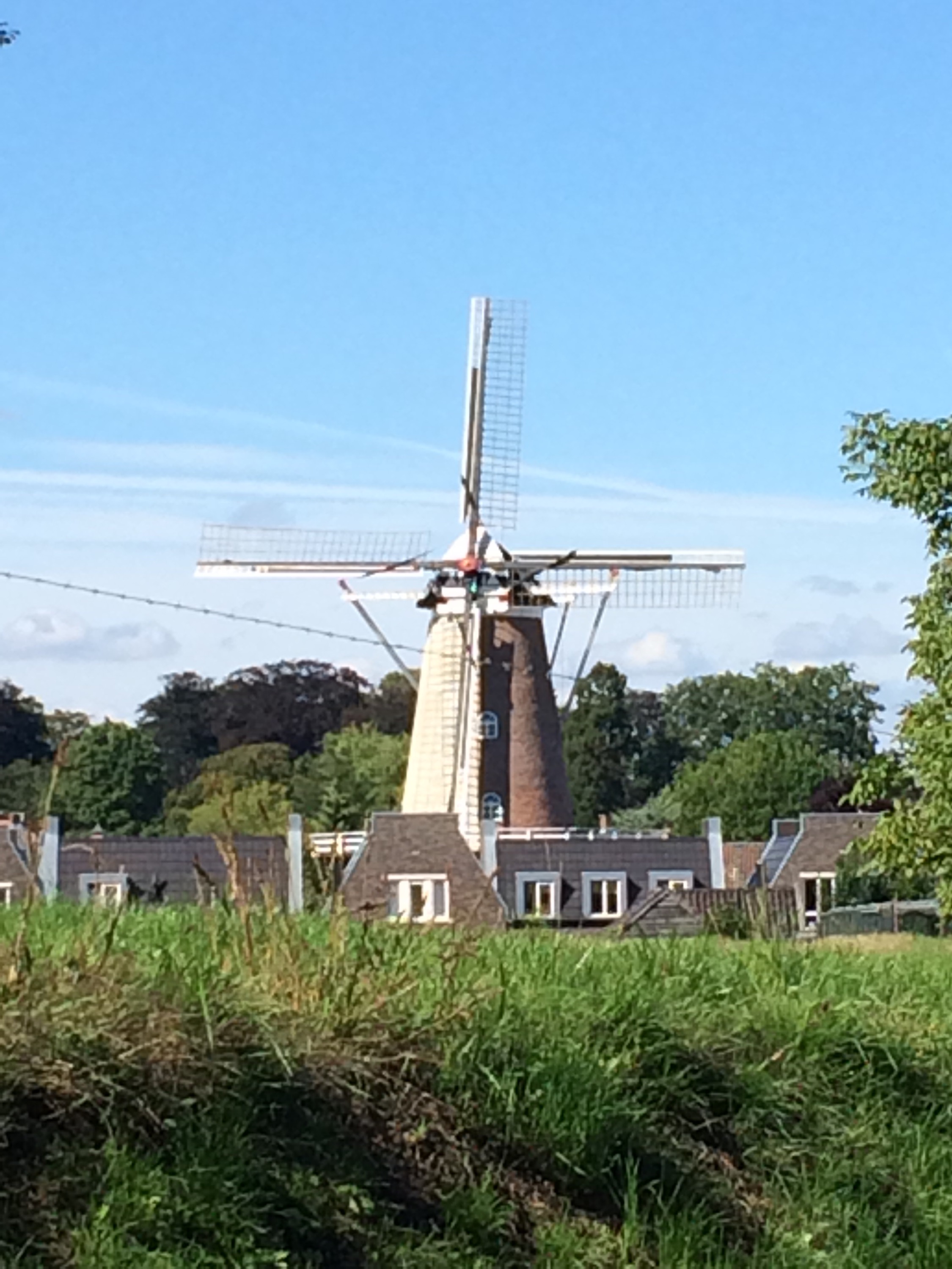 This image has an empty alt attribute; its file name is img_2923.jpg