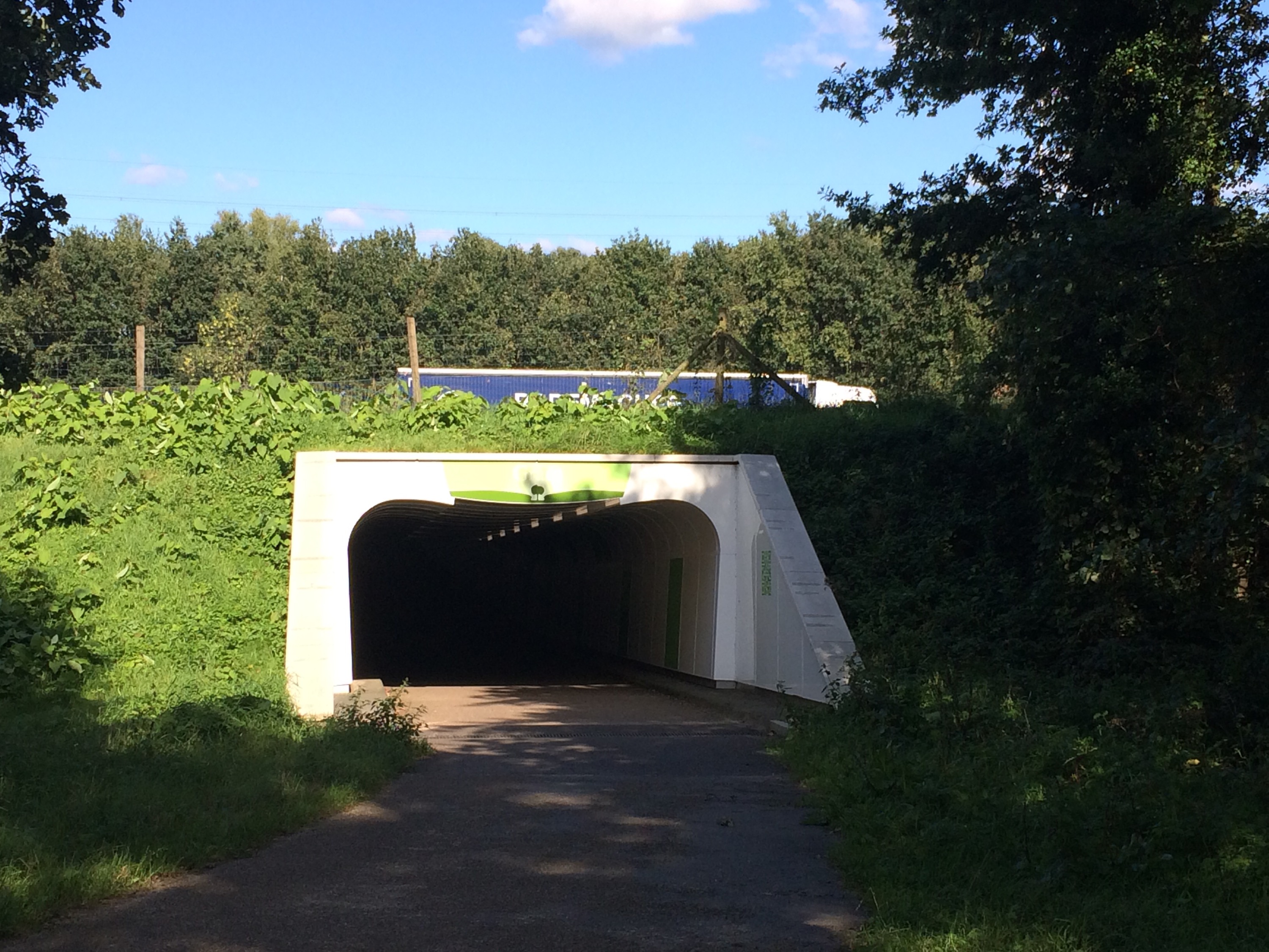 This image has an empty alt attribute; its file name is img_2929.jpg