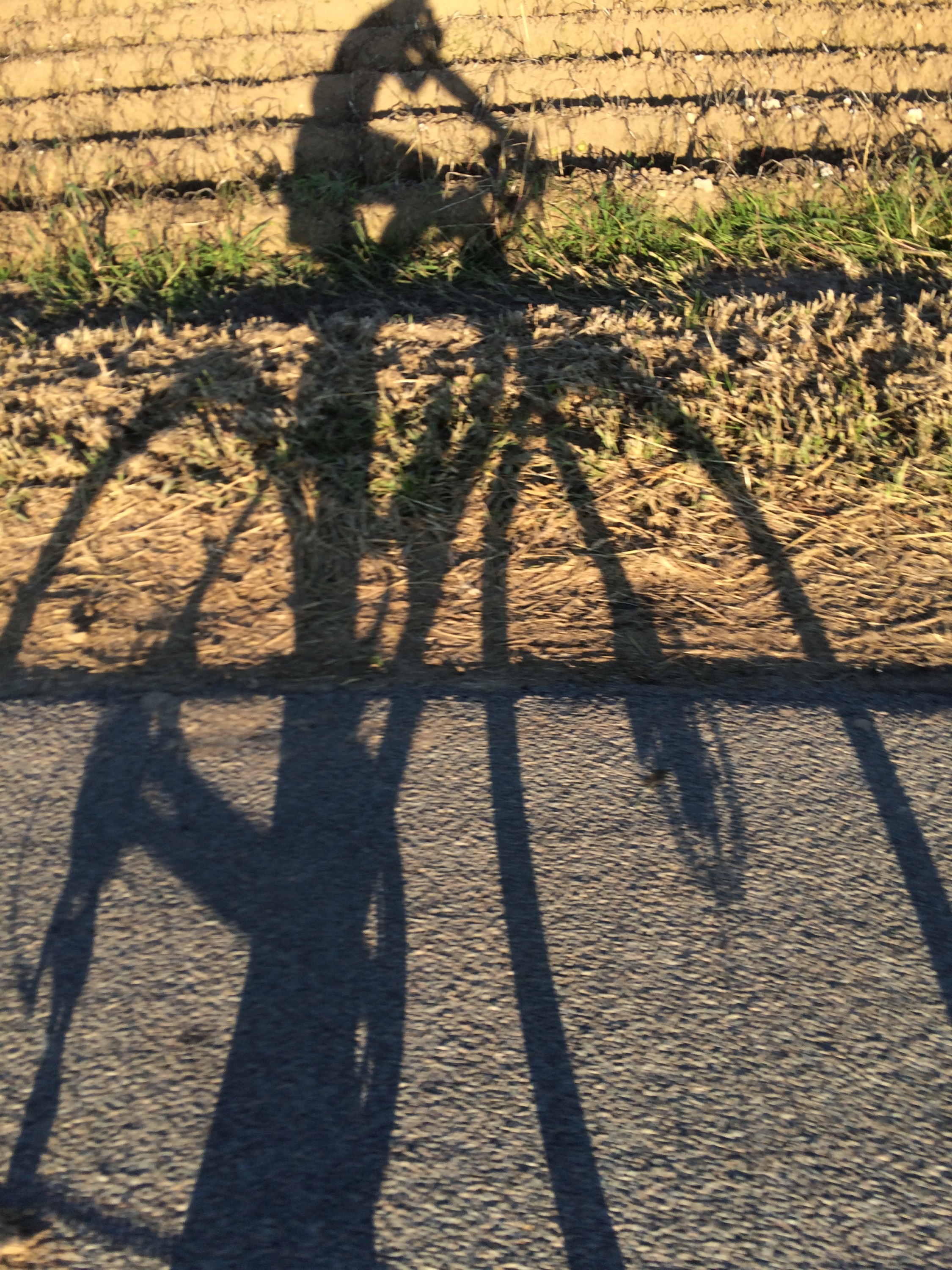 This image has an empty alt attribute; its file name is img_2932.jpg