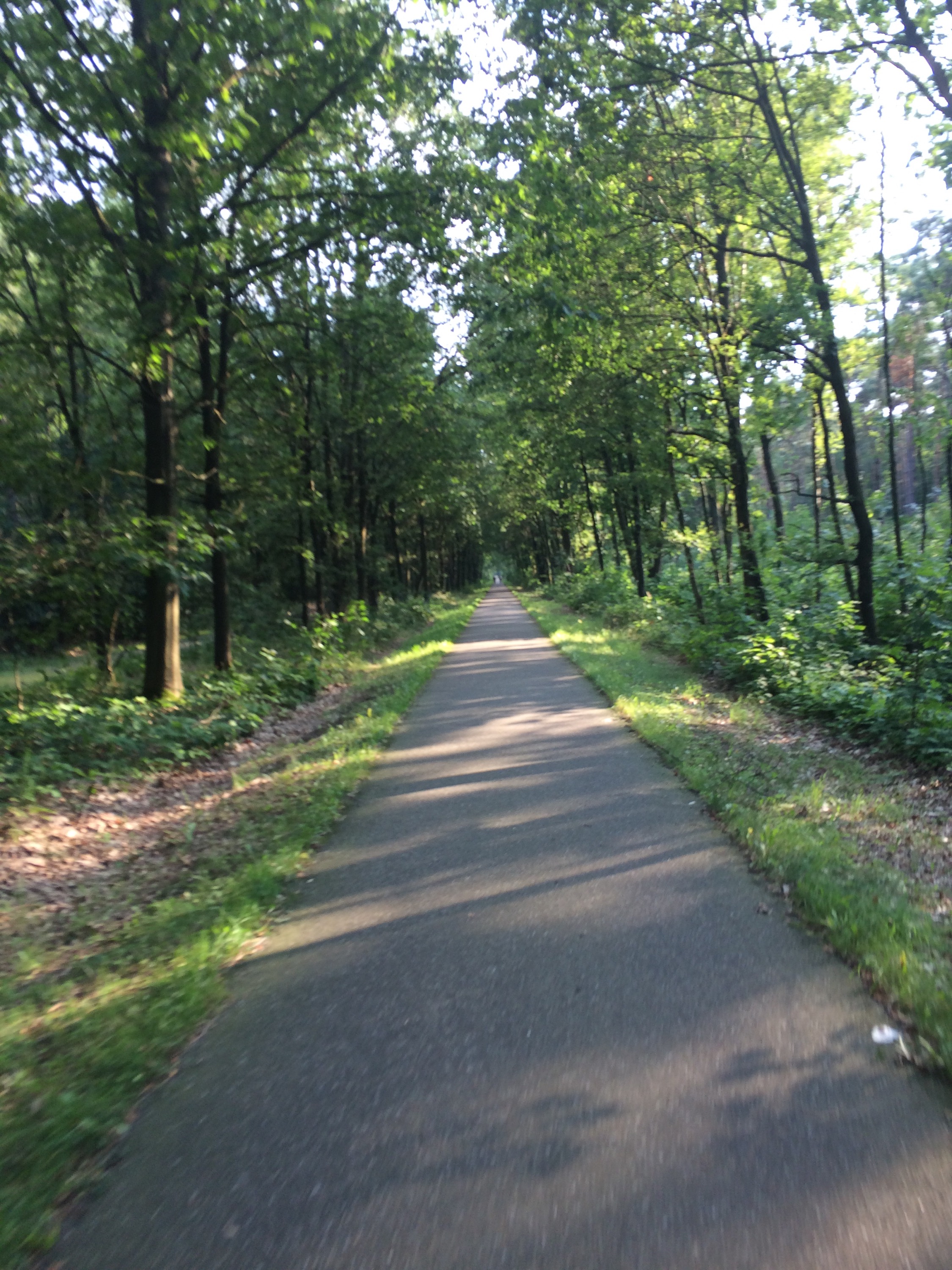 This image has an empty alt attribute; its file name is img_2947.jpg