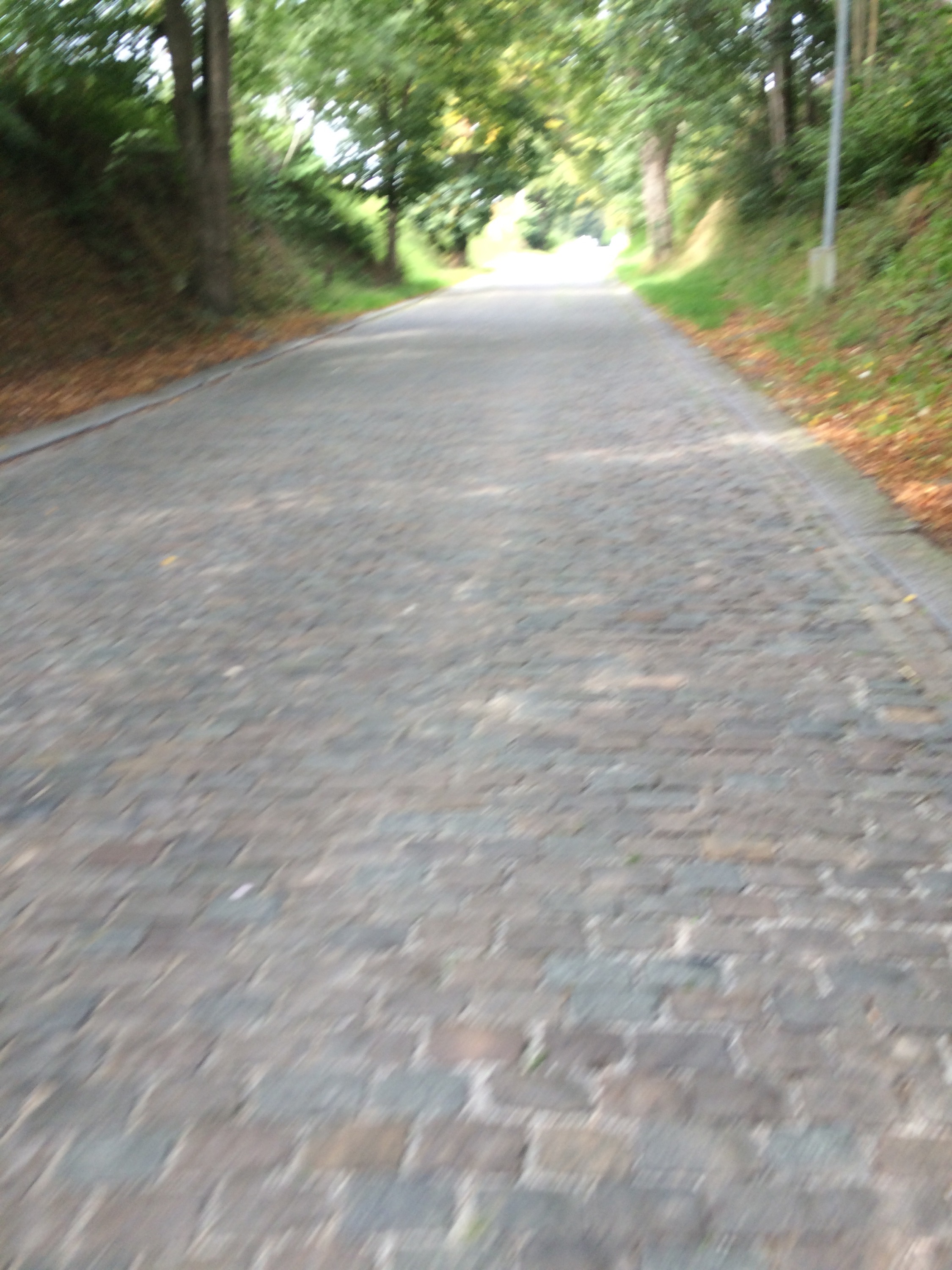 This image has an empty alt attribute; its file name is img_2955.jpg