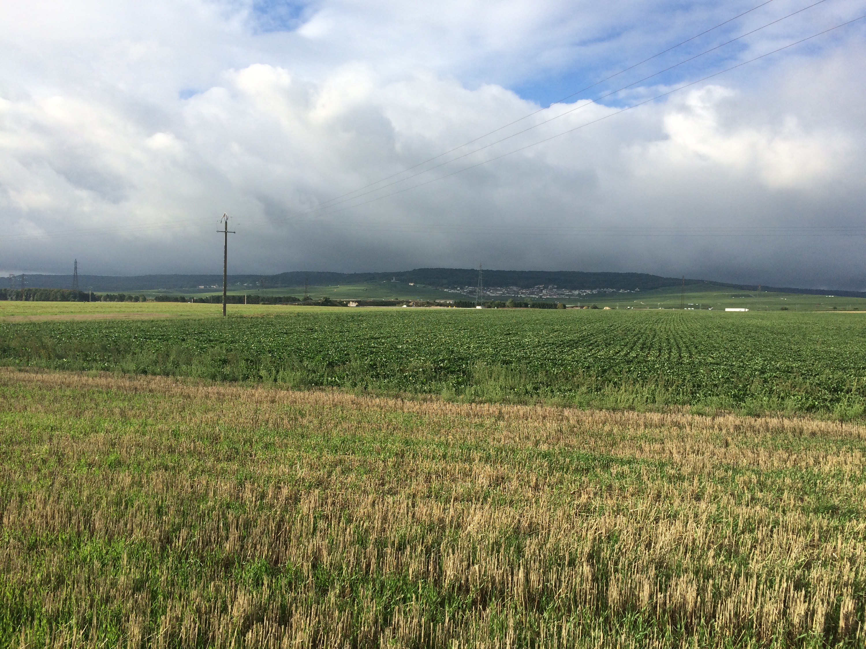 This image has an empty alt attribute; its file name is img_2995.jpg