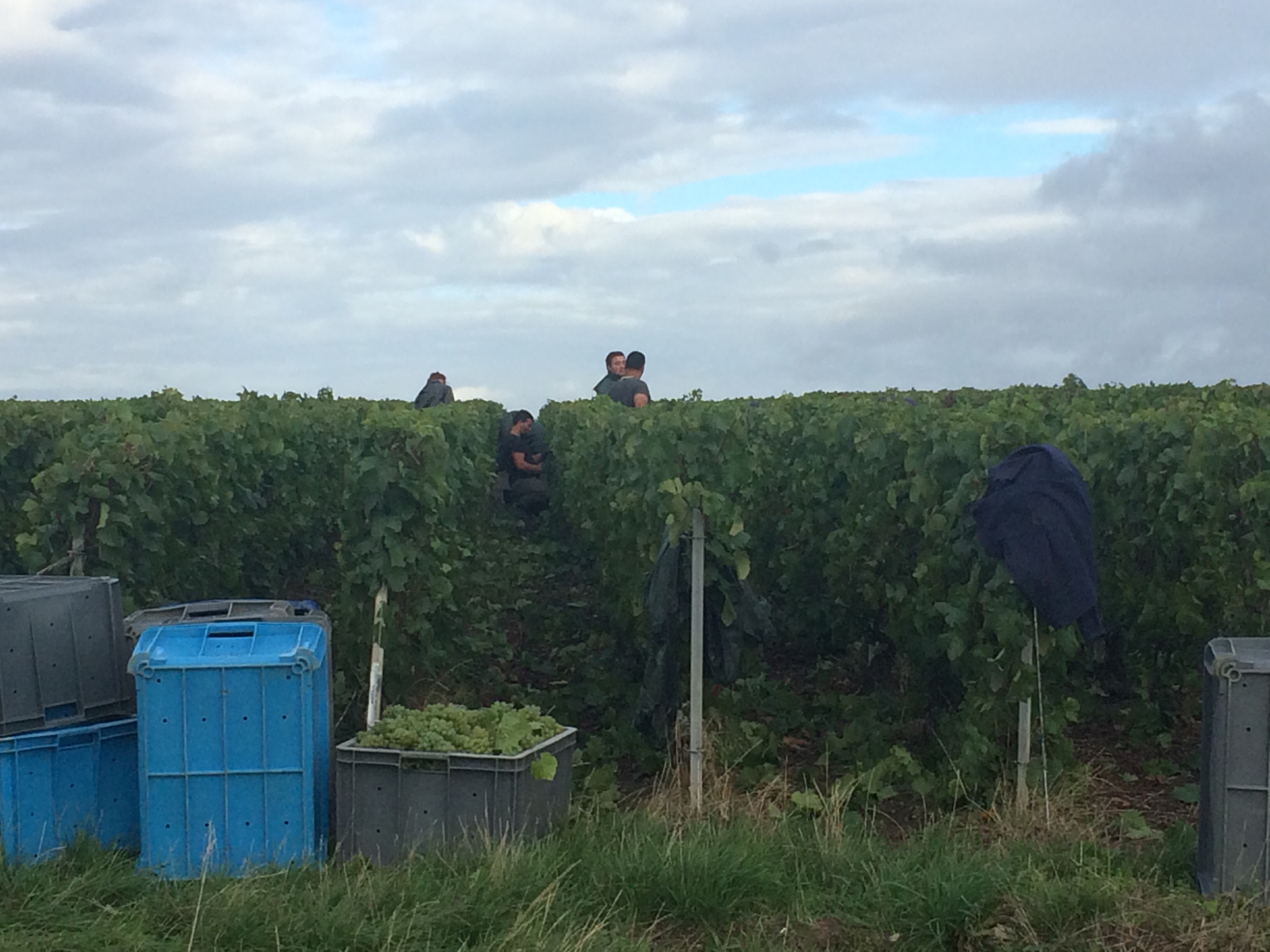 This image has an empty alt attribute; its file name is img_2996.jpg