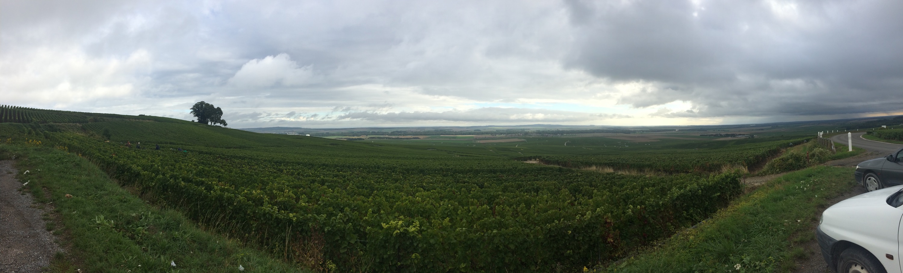 This image has an empty alt attribute; its file name is img_2997.jpg