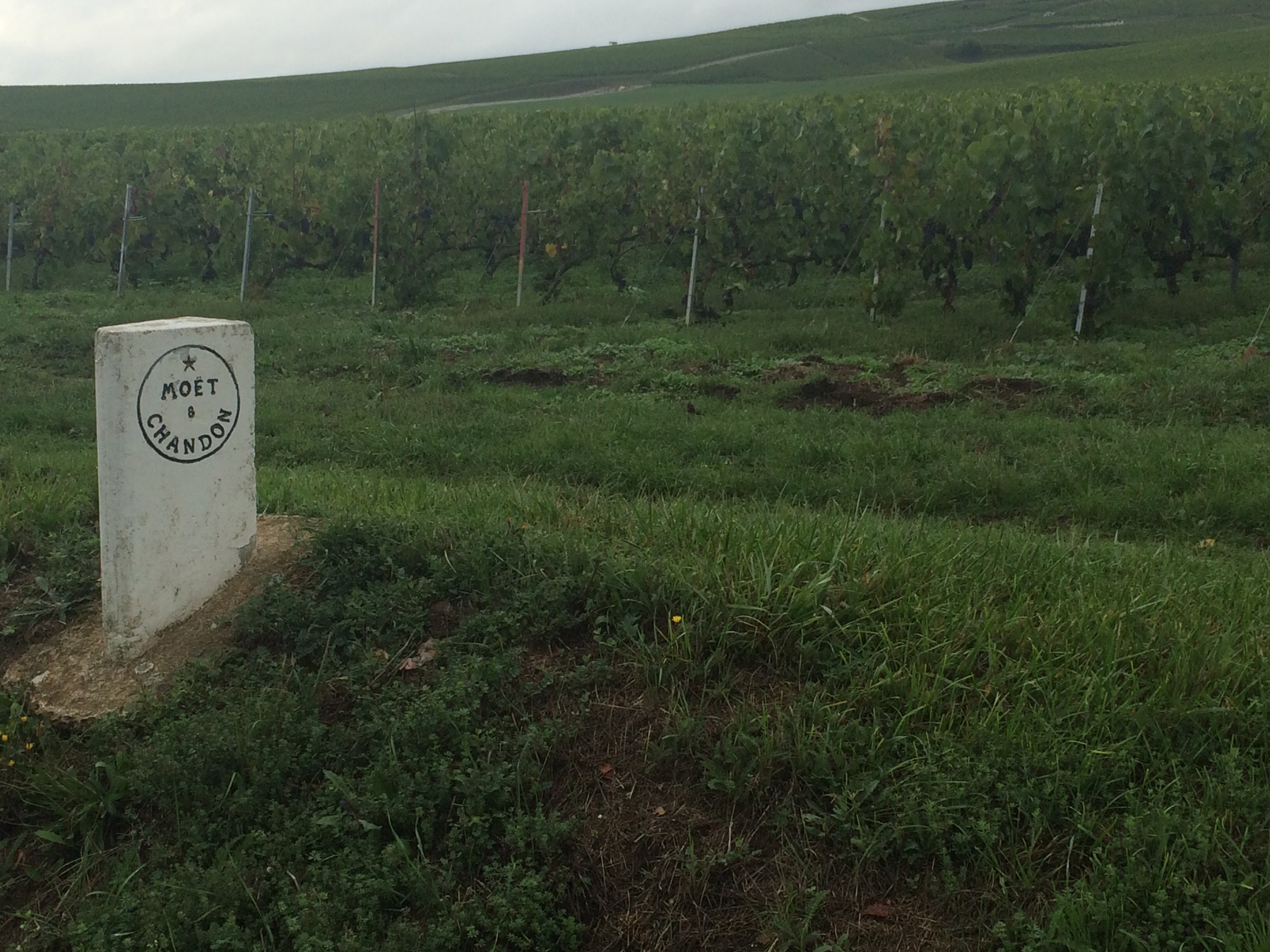 This image has an empty alt attribute; its file name is img_3001.jpg