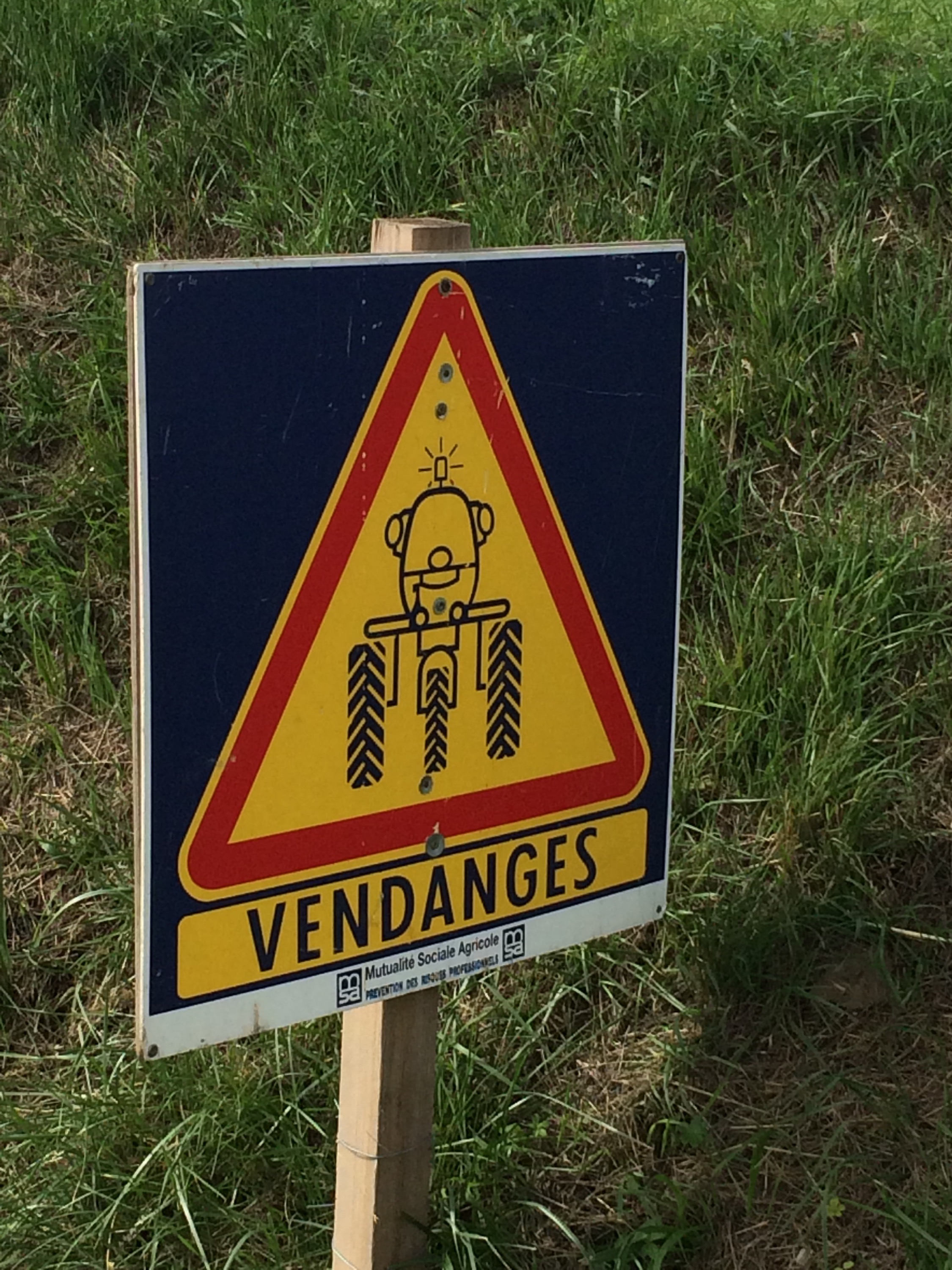 This image has an empty alt attribute; its file name is img_3019.jpg