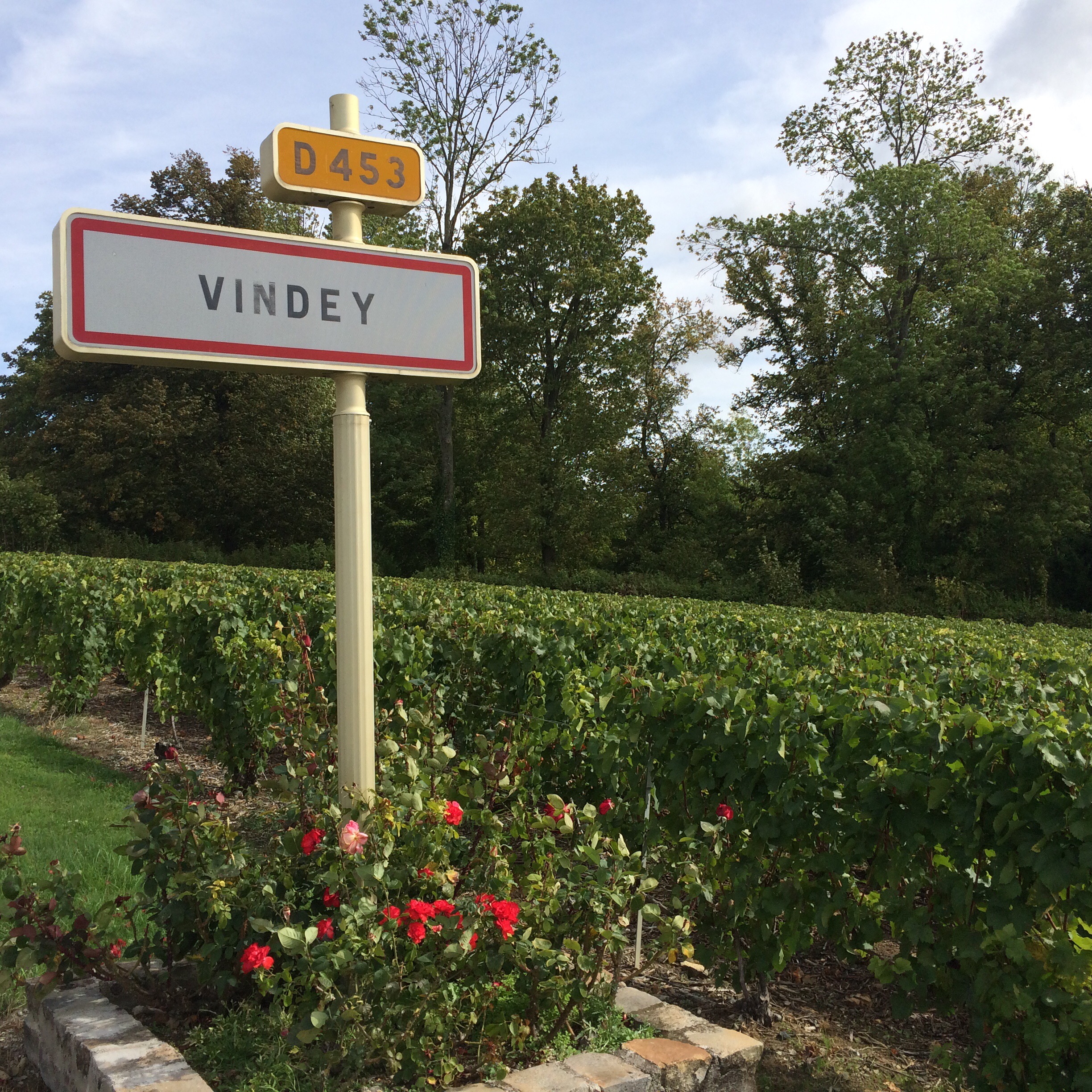 This image has an empty alt attribute; its file name is img_3020.jpg