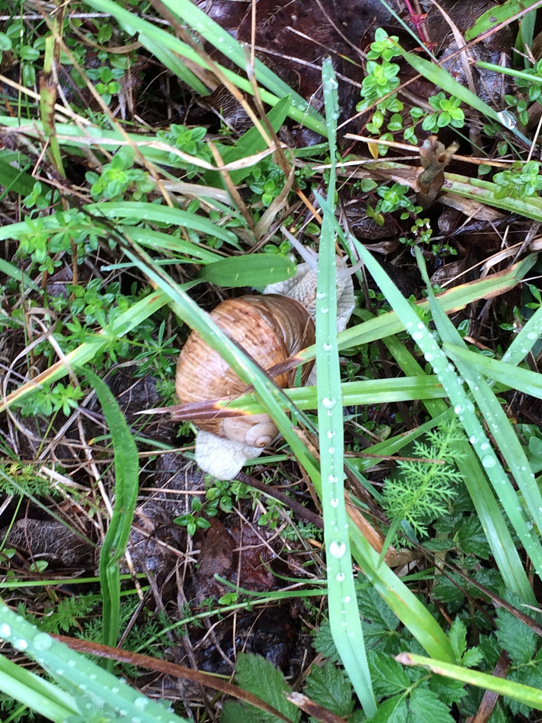 This image has an empty alt attribute; its file name is img_3028.jpg