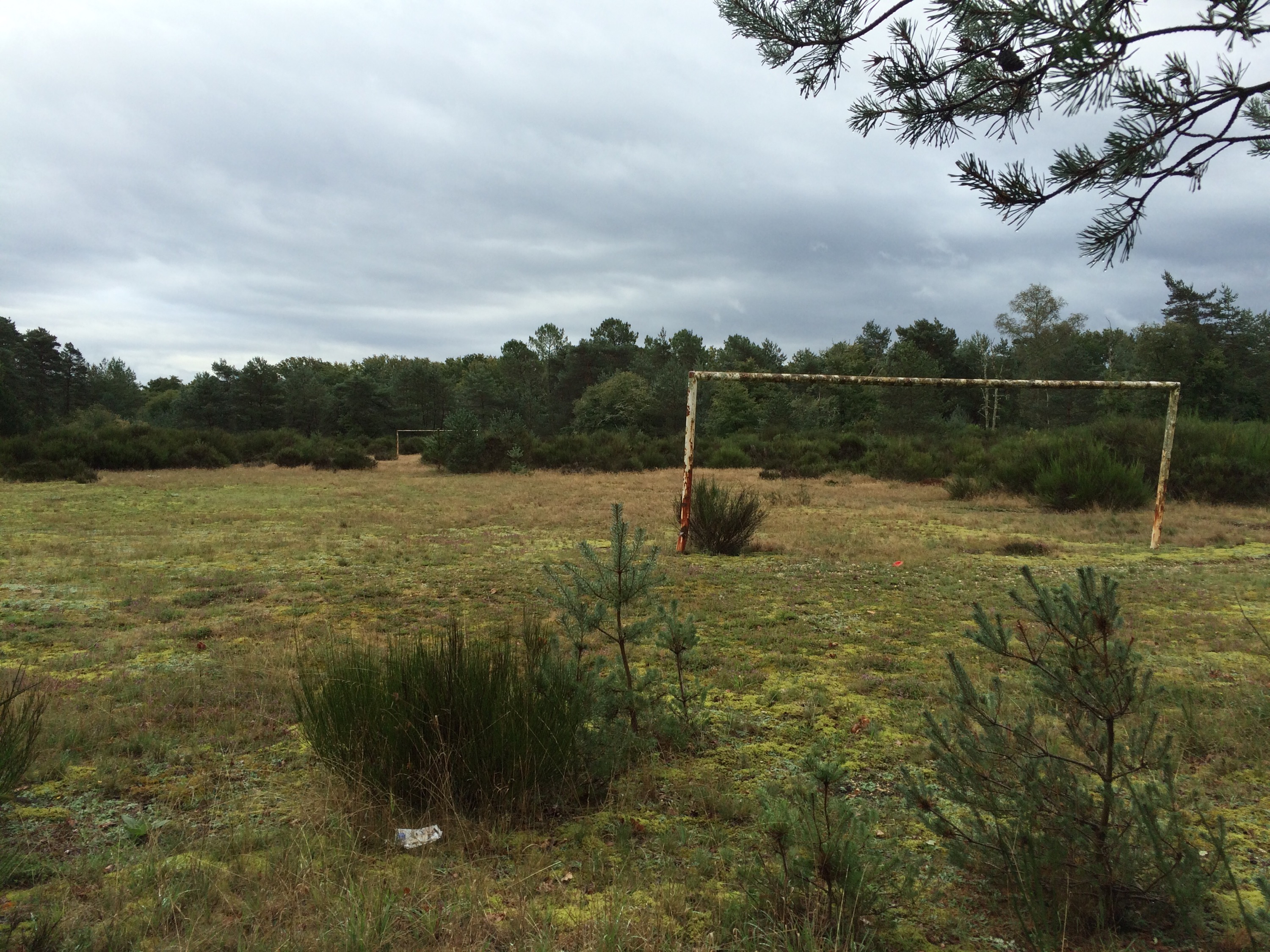 This image has an empty alt attribute; its file name is img_3029.jpg