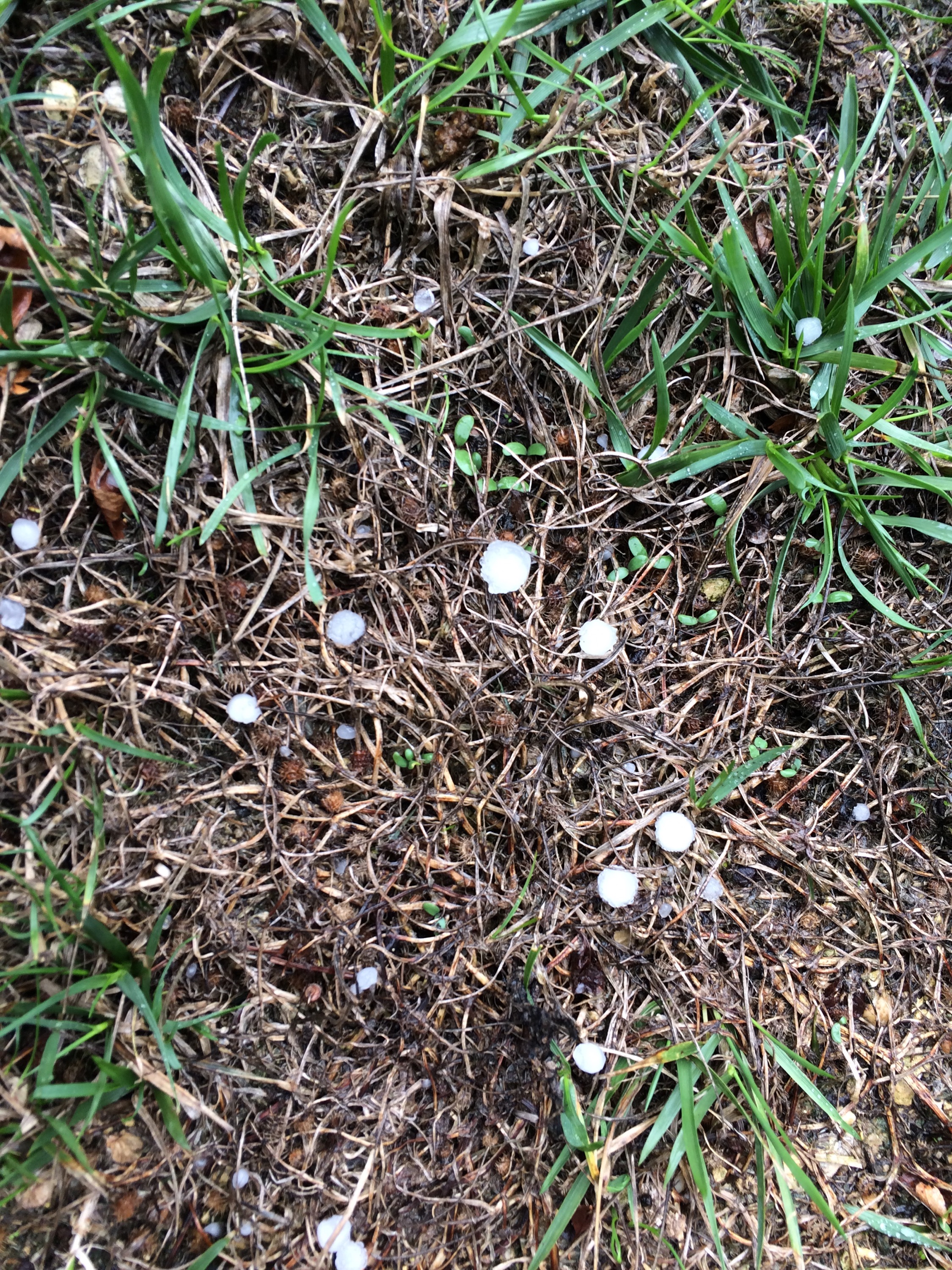 This image has an empty alt attribute; its file name is img_3033.jpg