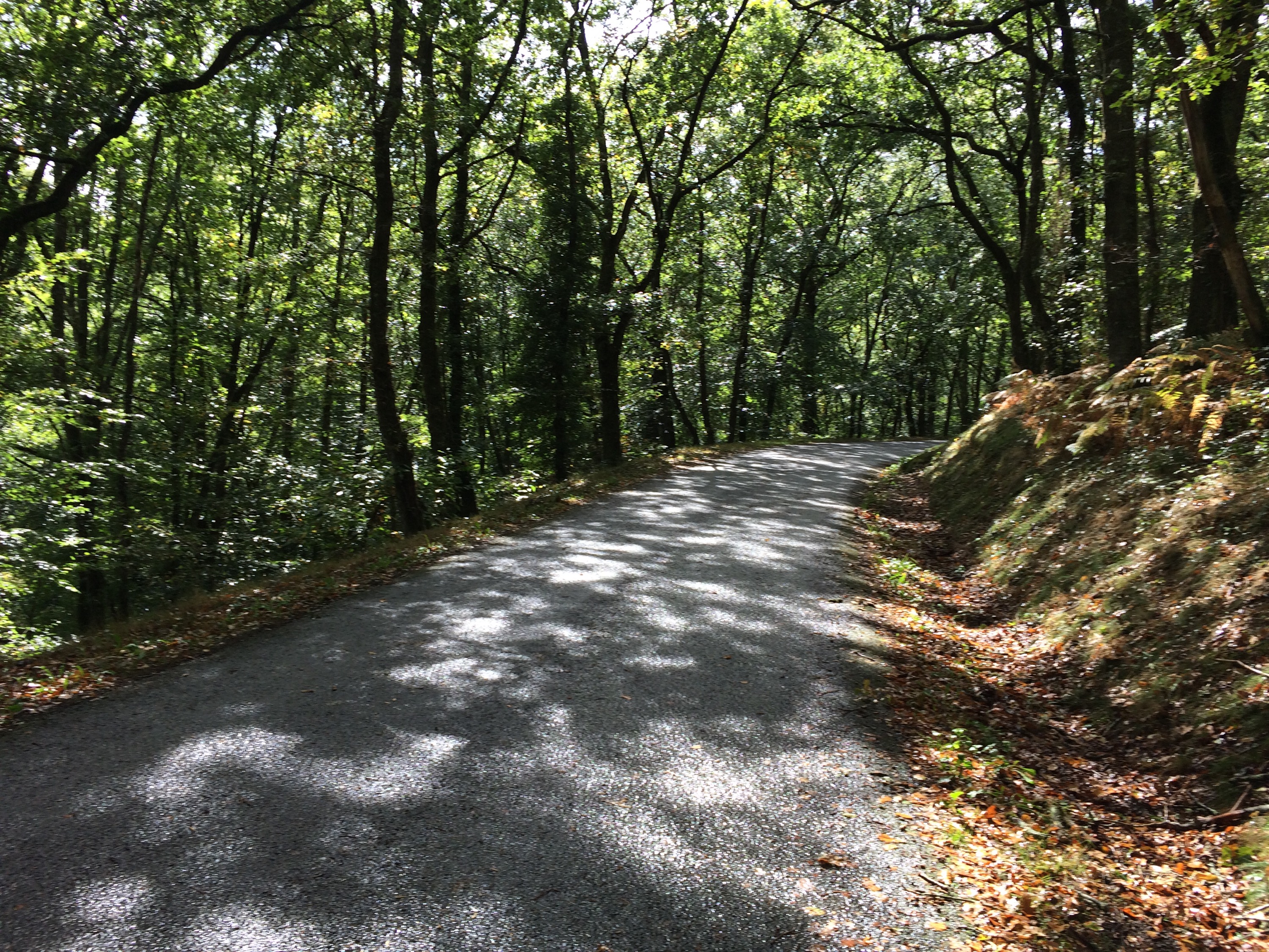 This image has an empty alt attribute; its file name is img_3038.jpg