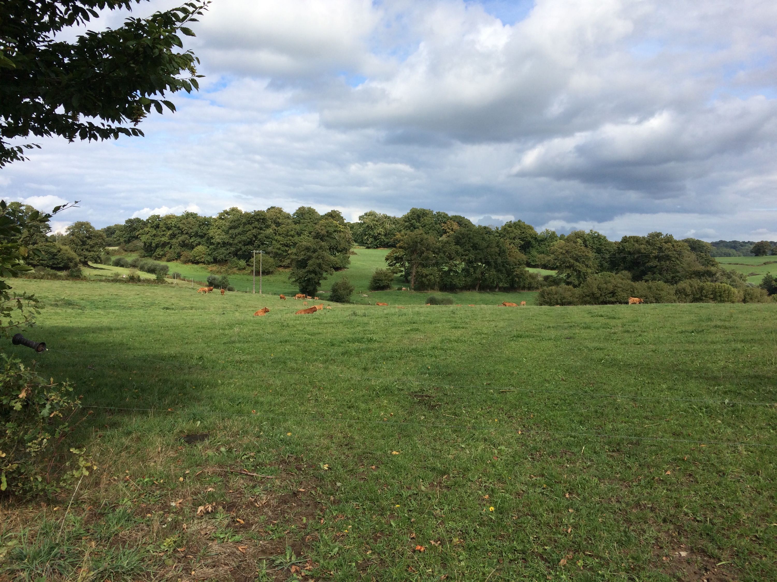 This image has an empty alt attribute; its file name is img_3040.jpg