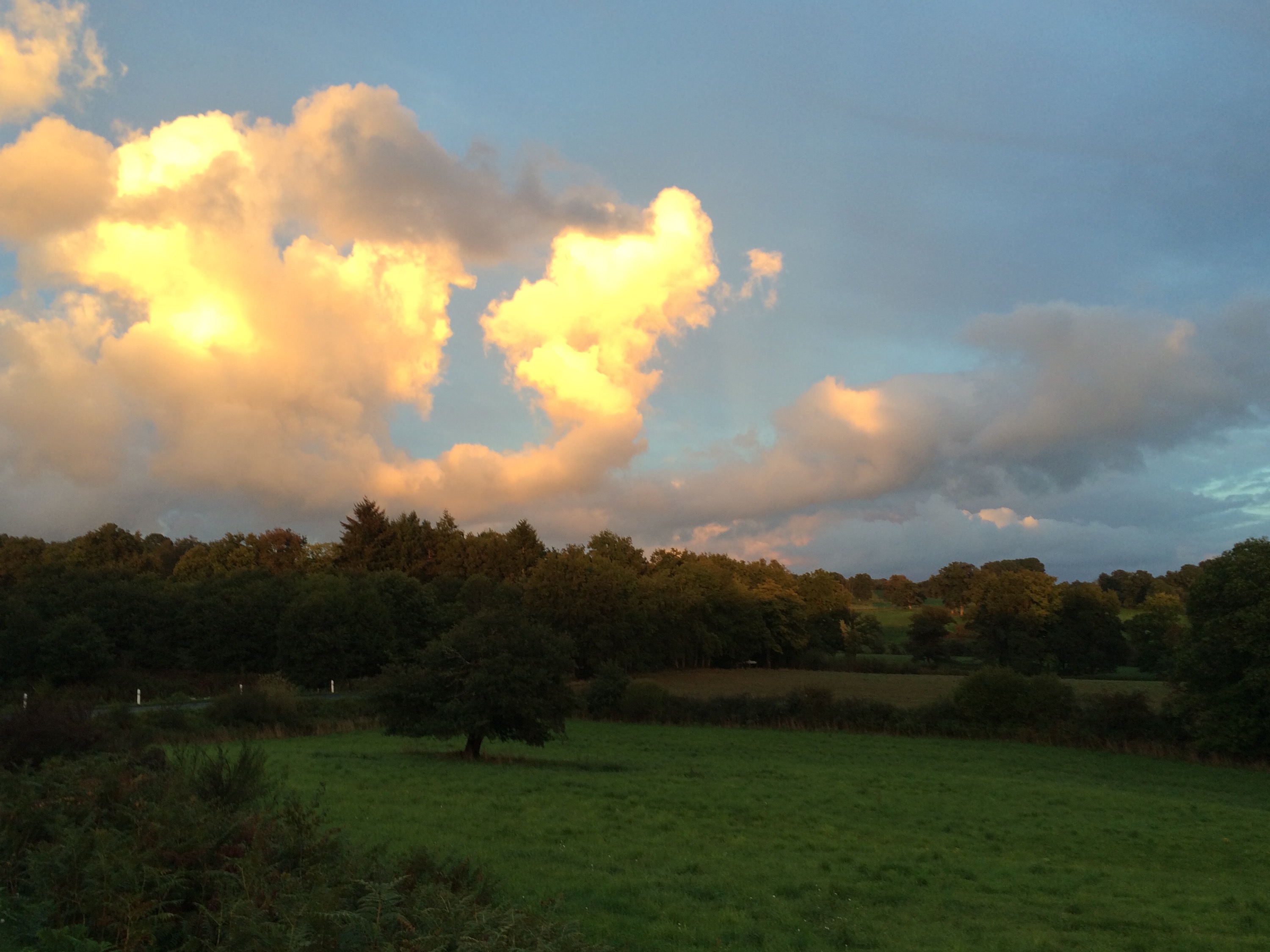 This image has an empty alt attribute; its file name is img_3046.jpg