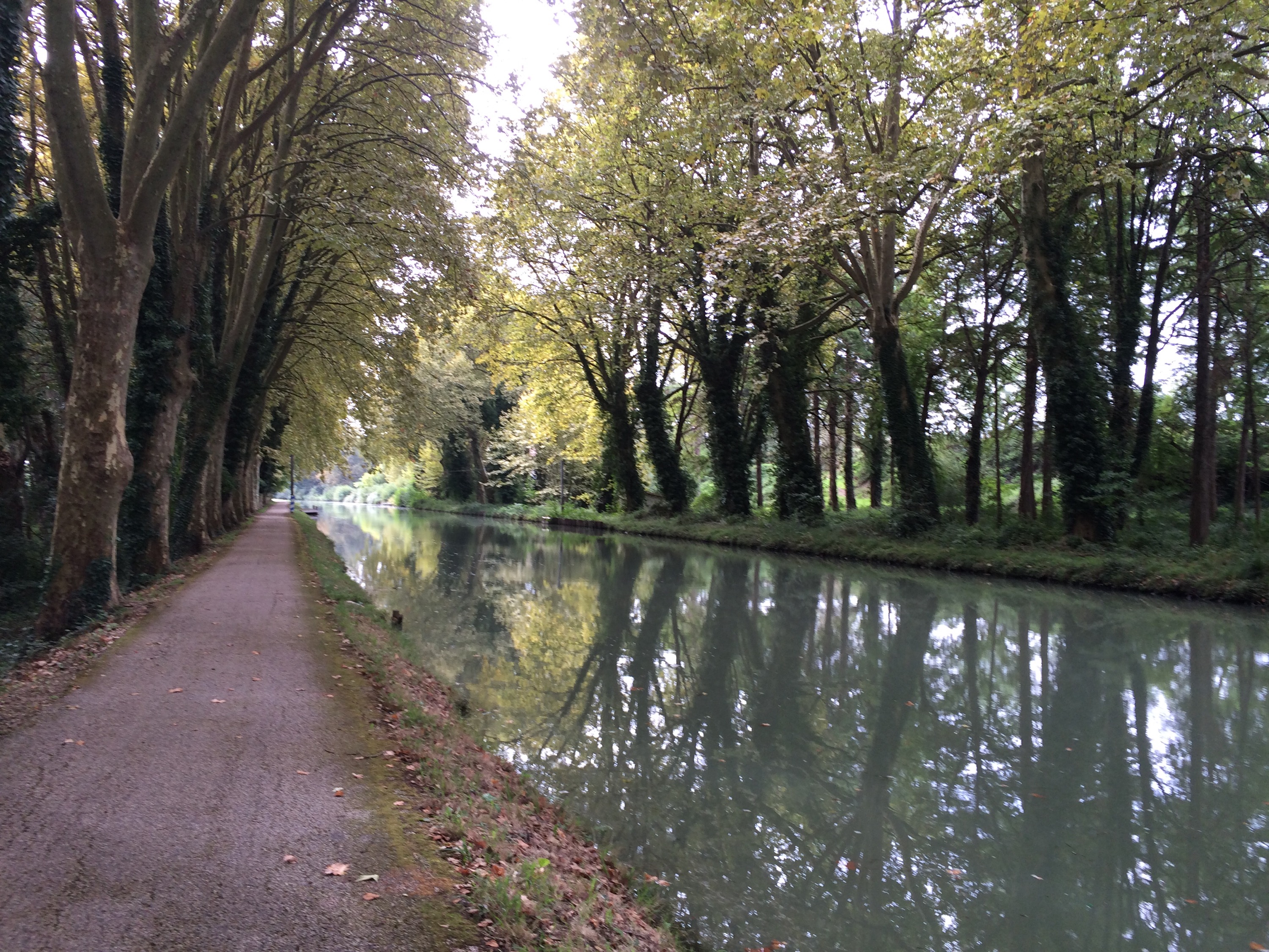 This image has an empty alt attribute; its file name is img_3067-0.jpg