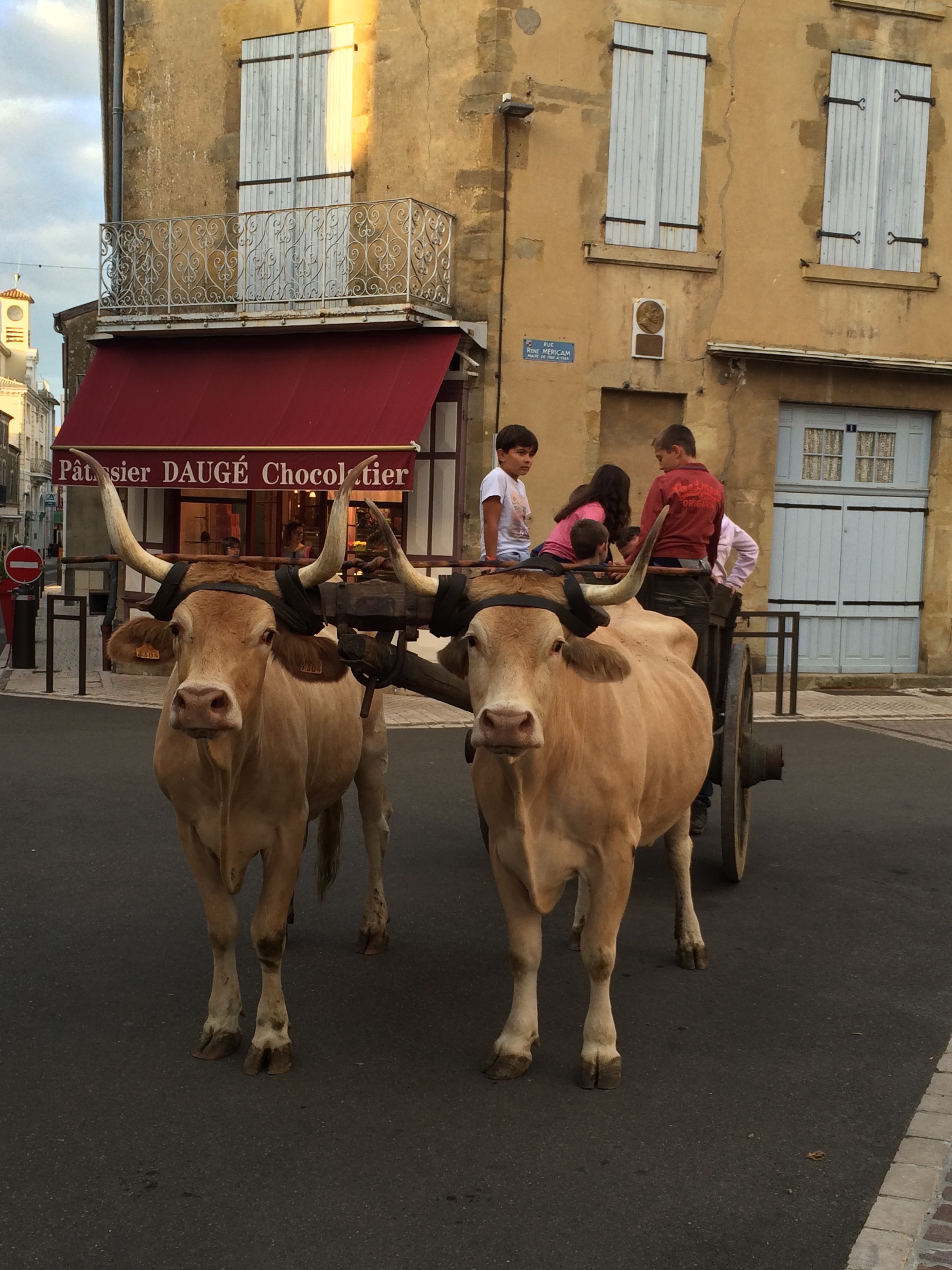 This image has an empty alt attribute; its file name is img_3074.jpg