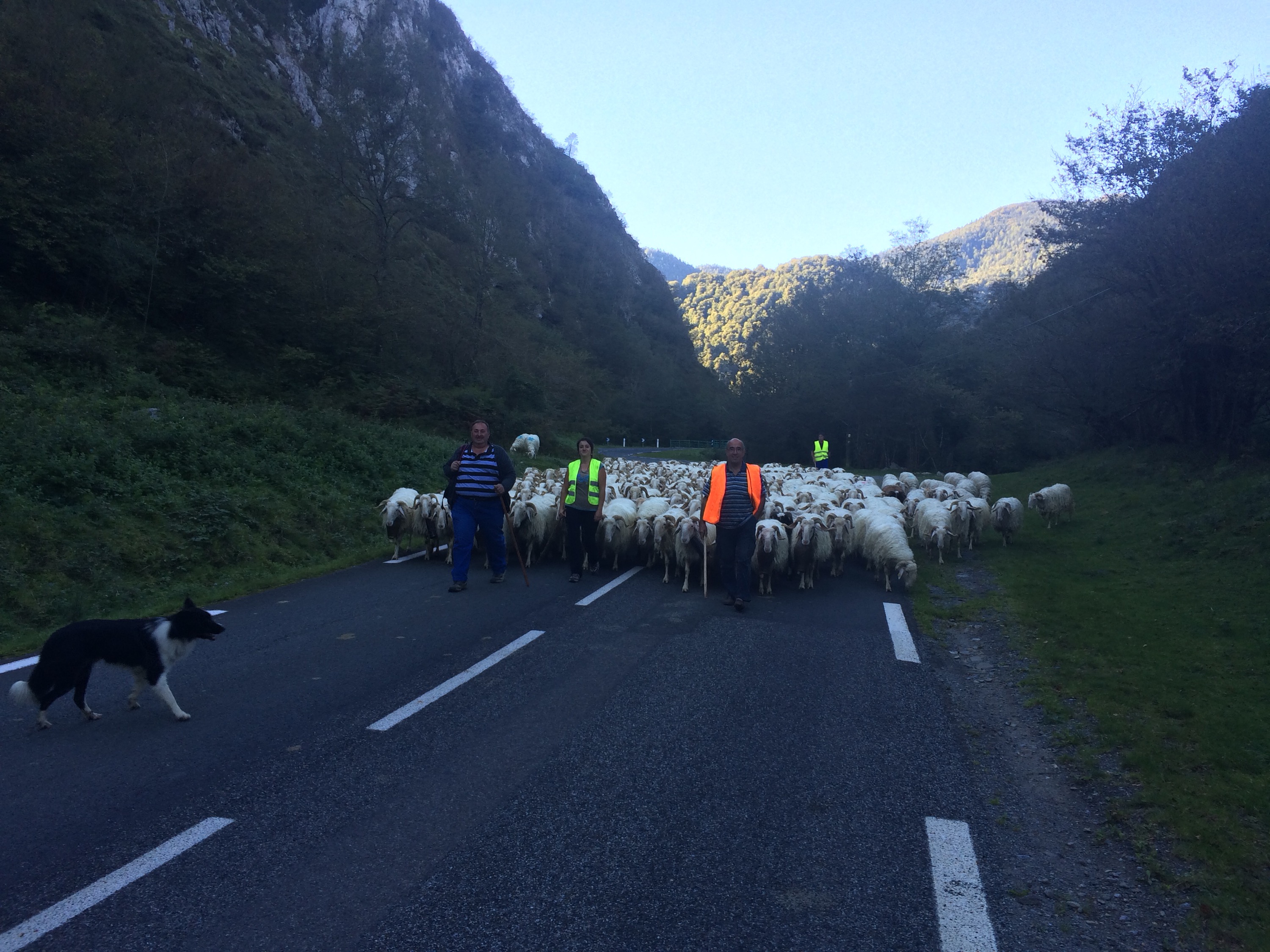 This image has an empty alt attribute; its file name is img_3101.jpg