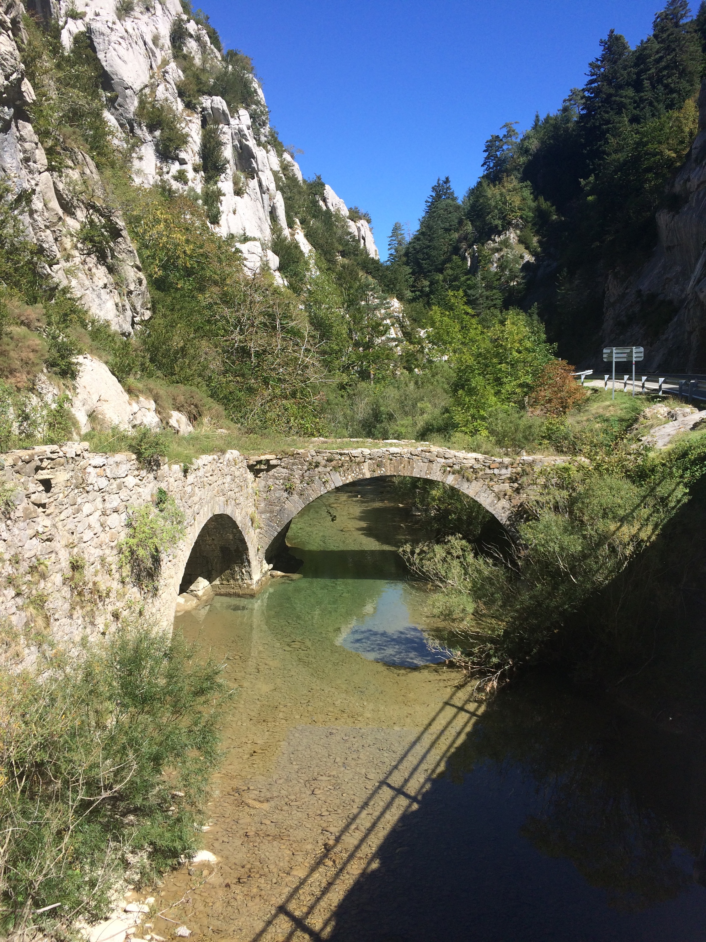 This image has an empty alt attribute; its file name is img_3117.jpg