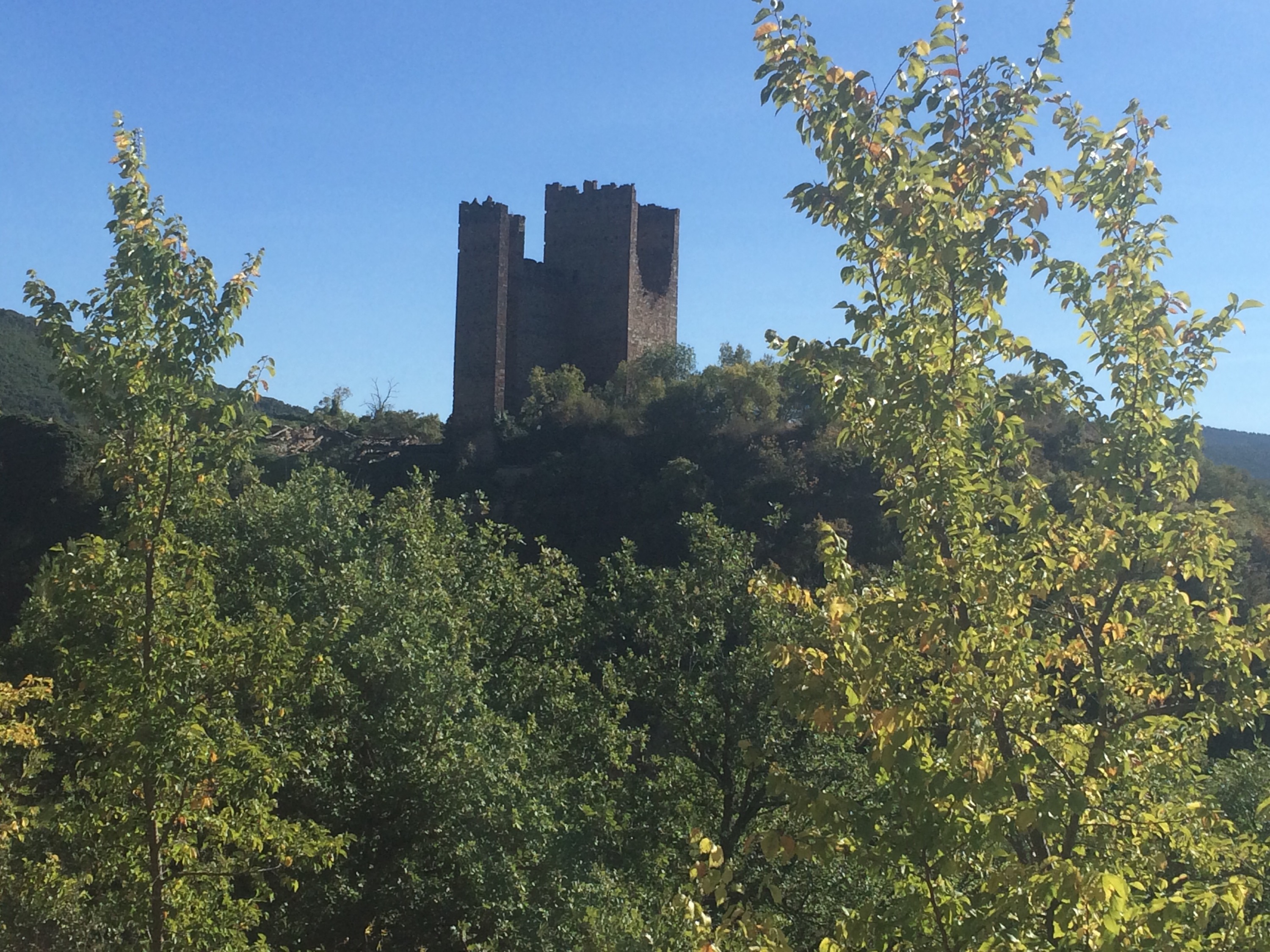 This image has an empty alt attribute; its file name is img_3125.jpg