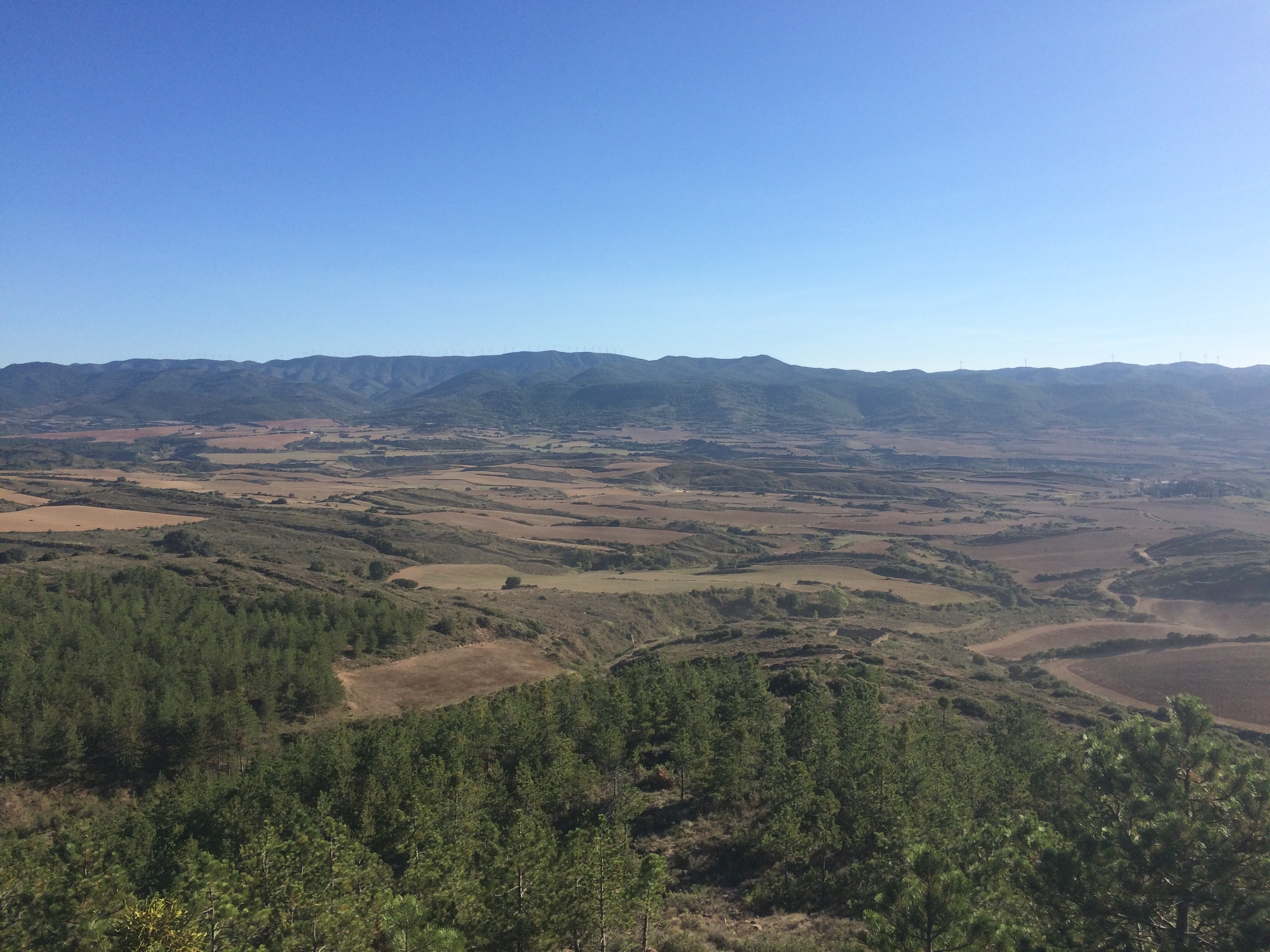 This image has an empty alt attribute; its file name is img_3128.jpg