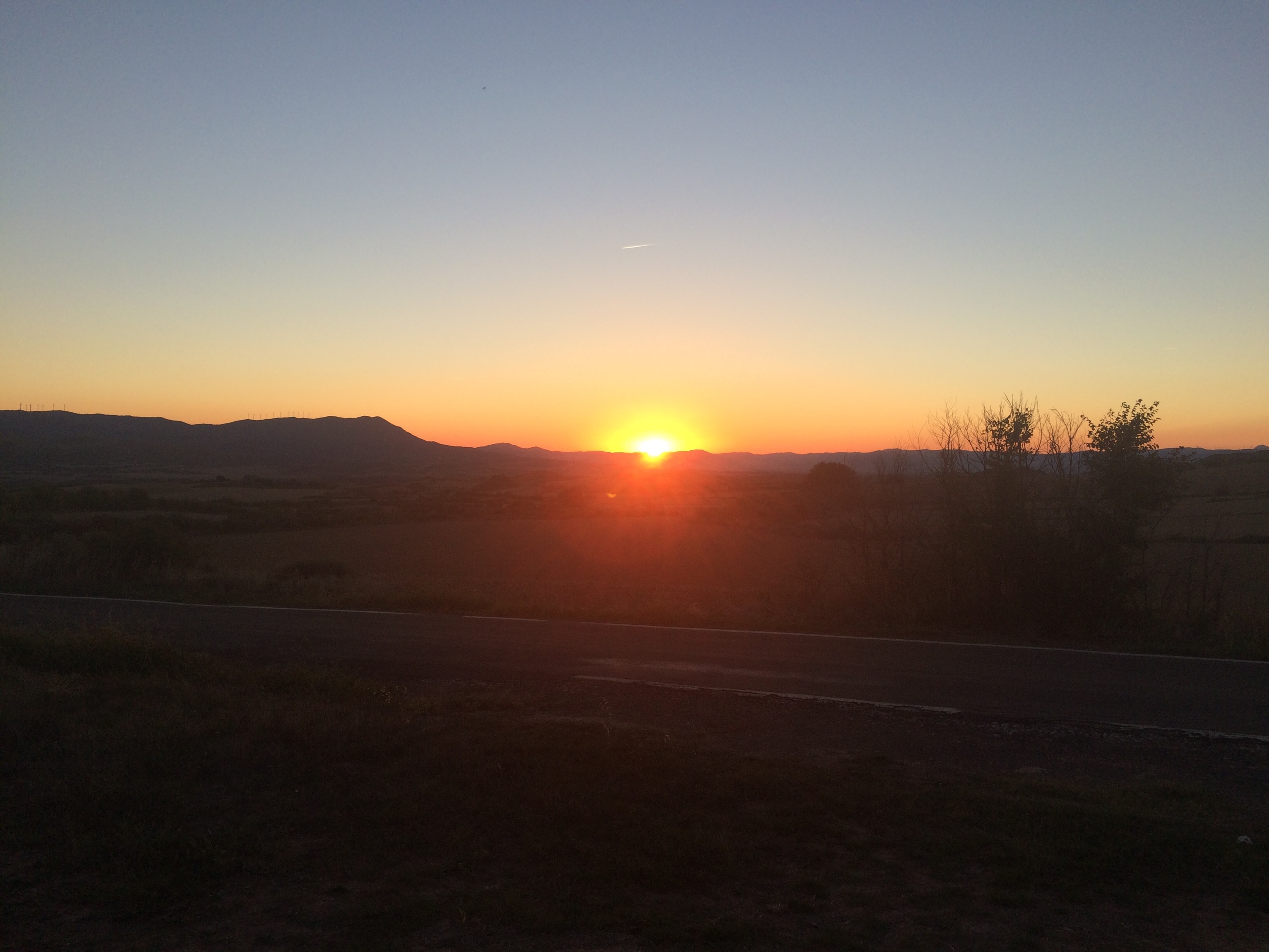 This image has an empty alt attribute; its file name is img_3131.jpg