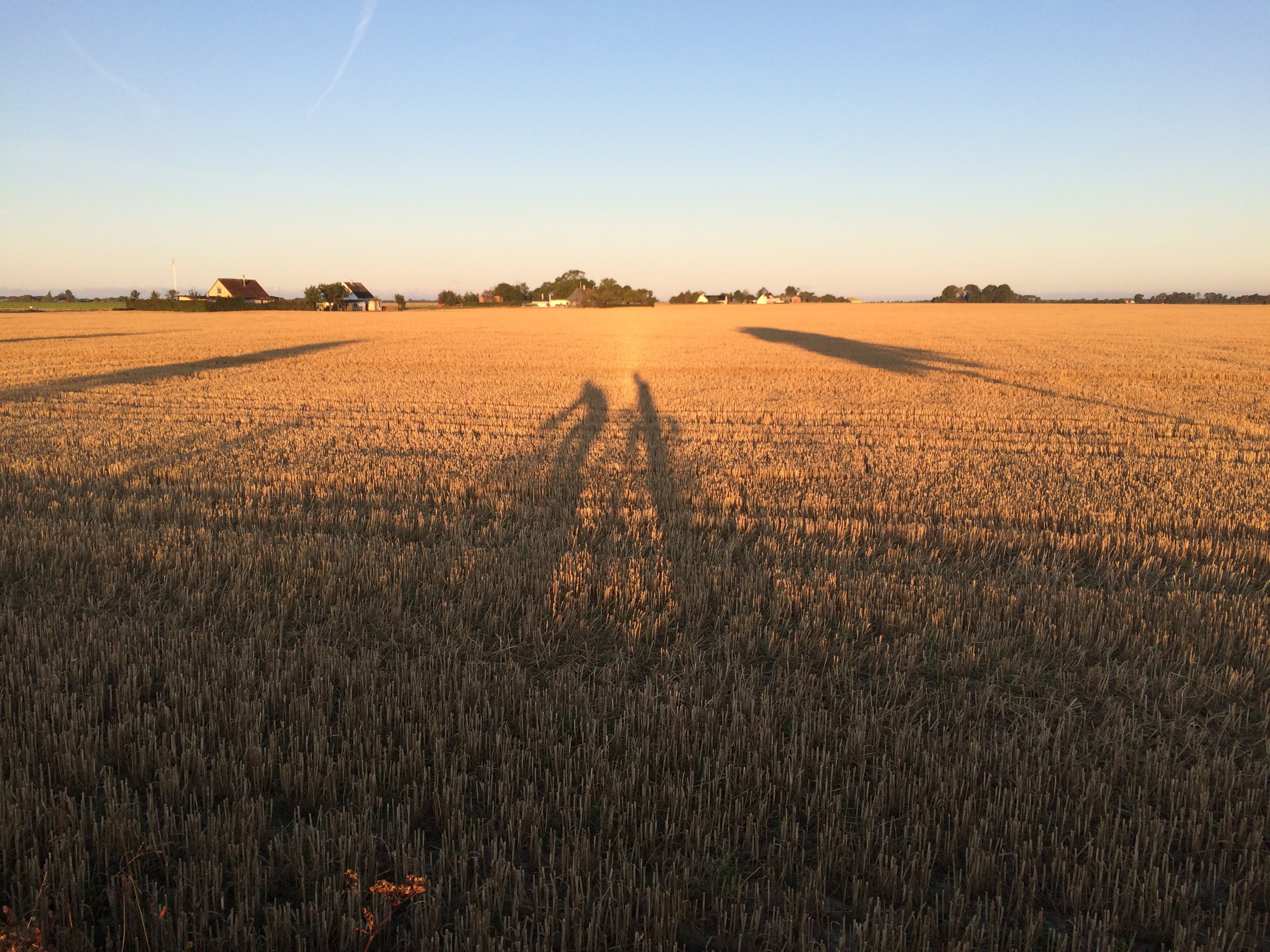 This image has an empty alt attribute; its file name is img_2864.jpg