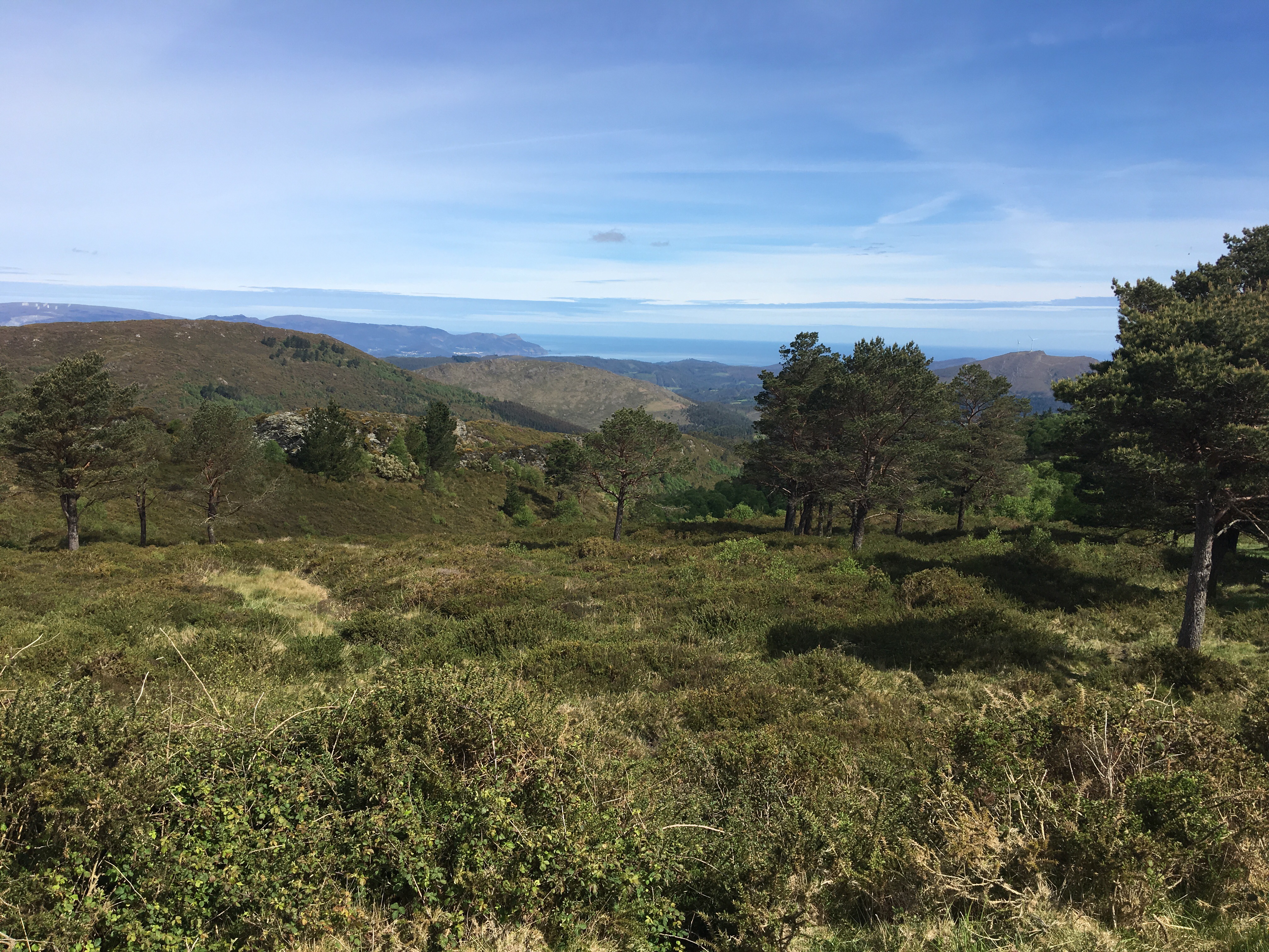 This image has an empty alt attribute; its file name is img_1191-2.jpg