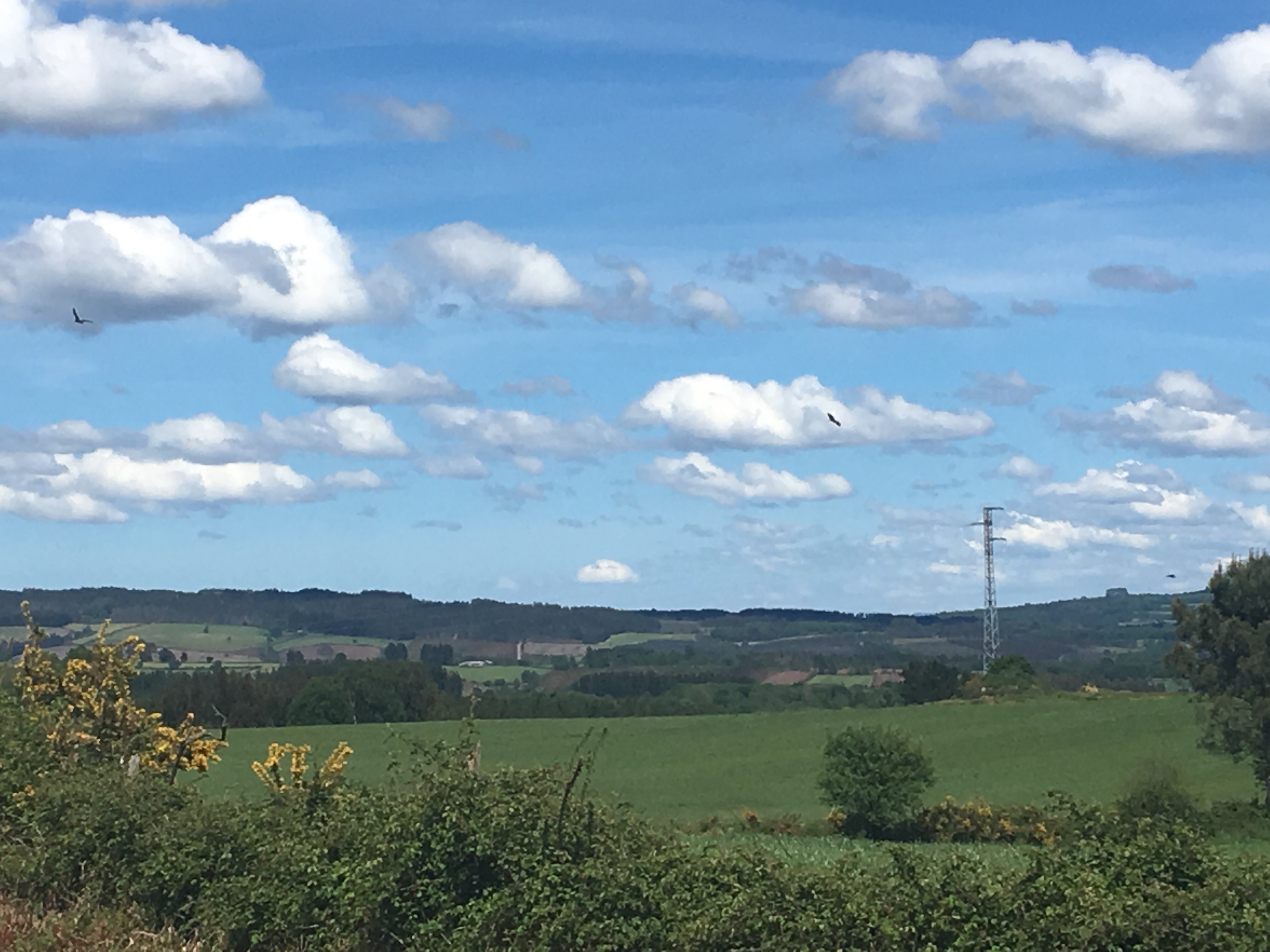 This image has an empty alt attribute; its file name is img_1202-2.jpg