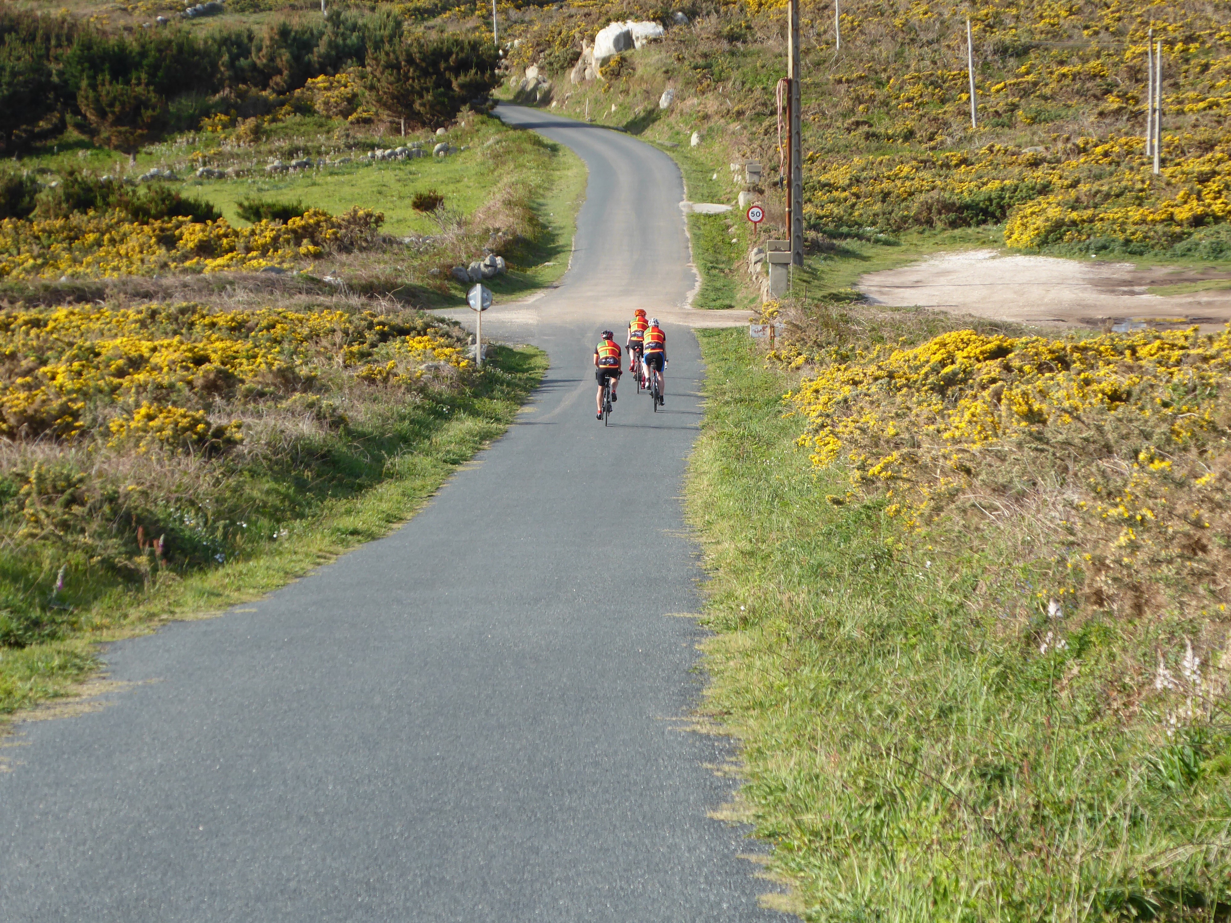 This image has an empty alt attribute; its file name is img_1205-1.jpg