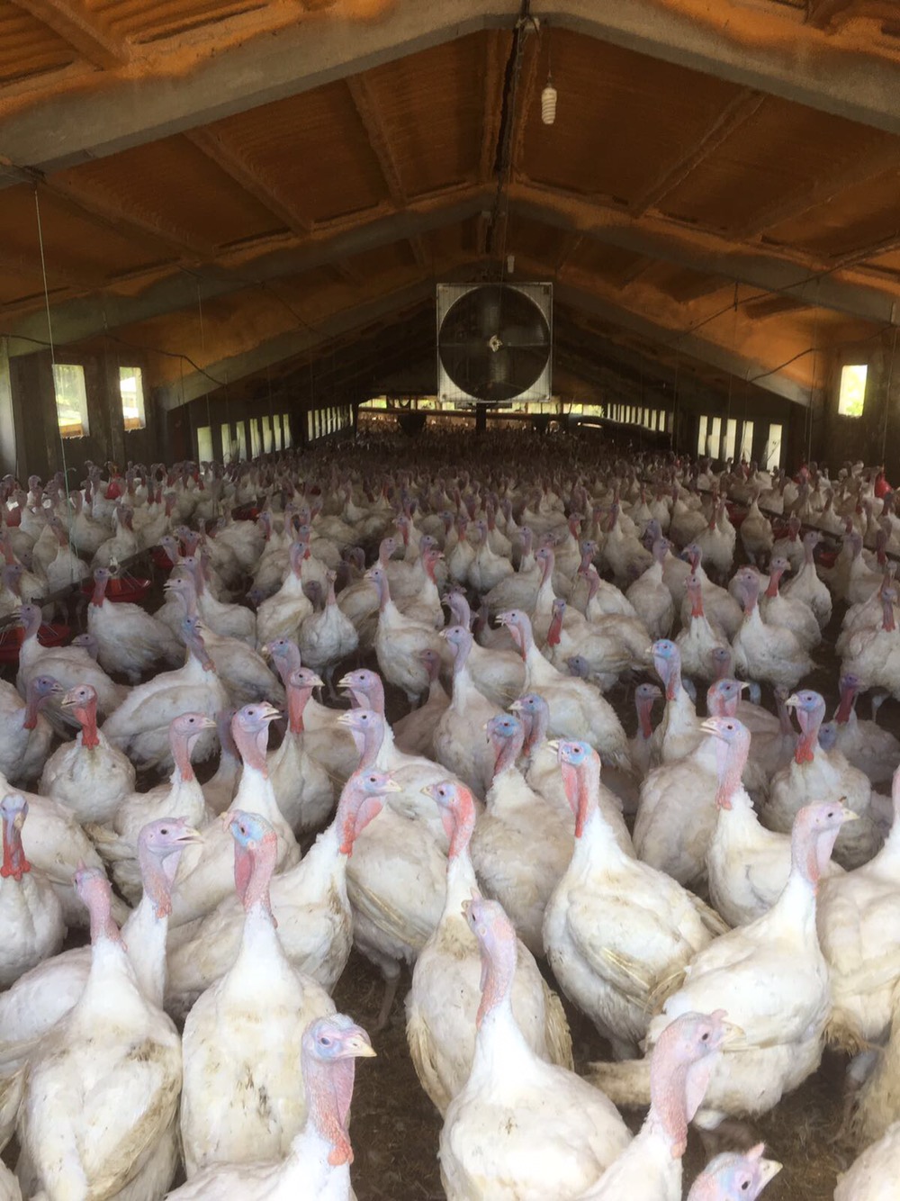 This image has an empty alt attribute; its file name is img_1210.jpg