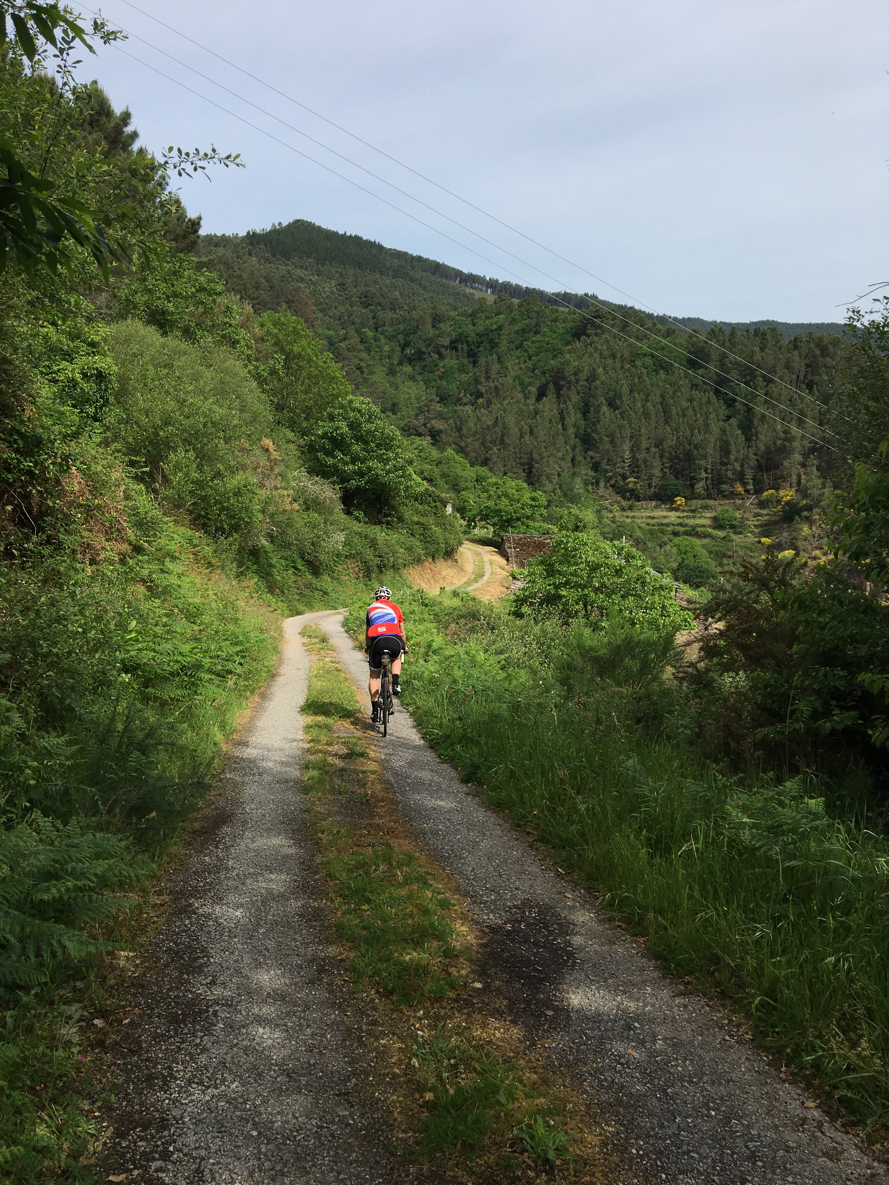 This image has an empty alt attribute; its file name is img_1254.jpg