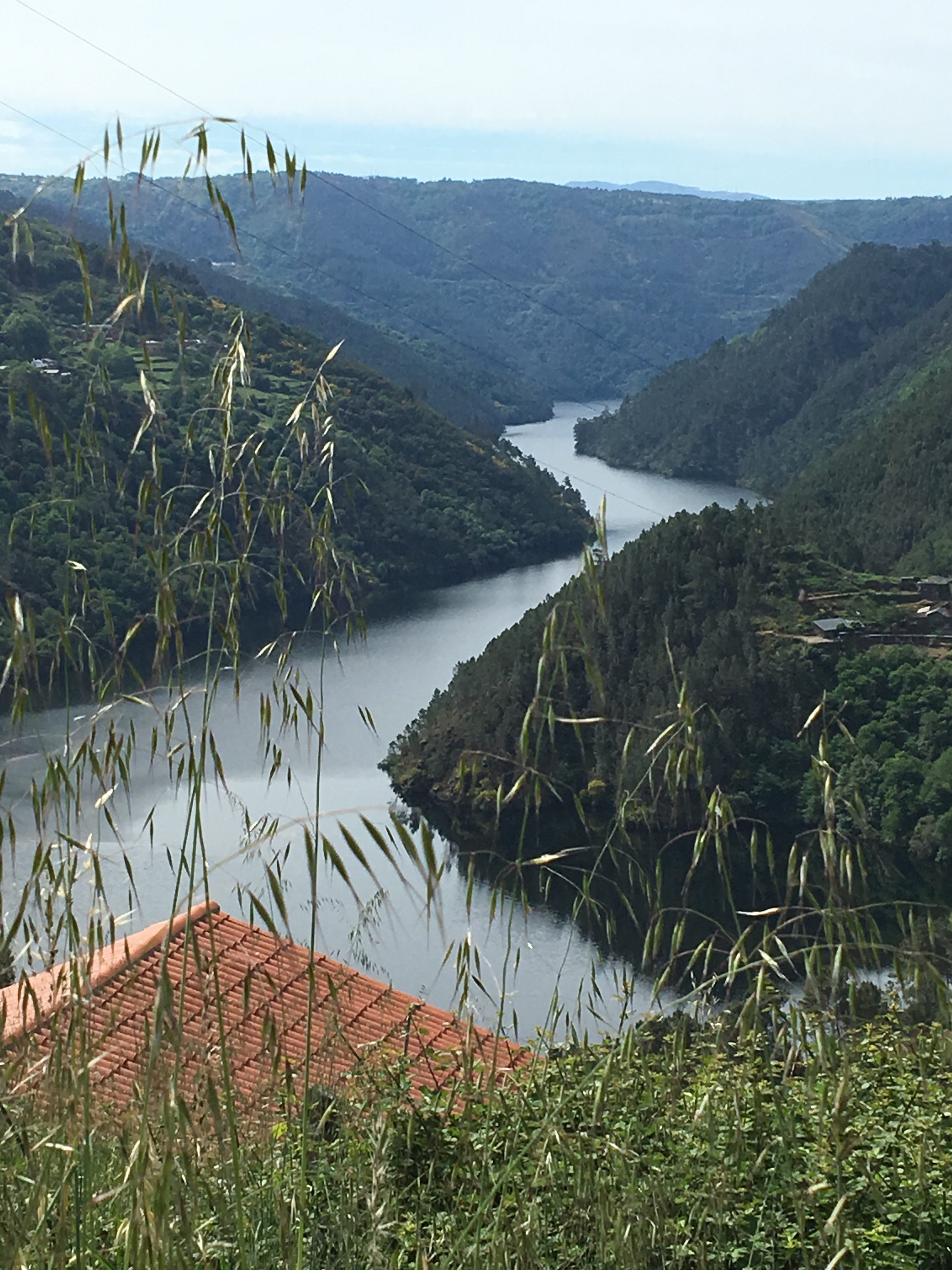 This image has an empty alt attribute; its file name is img_1265.jpg