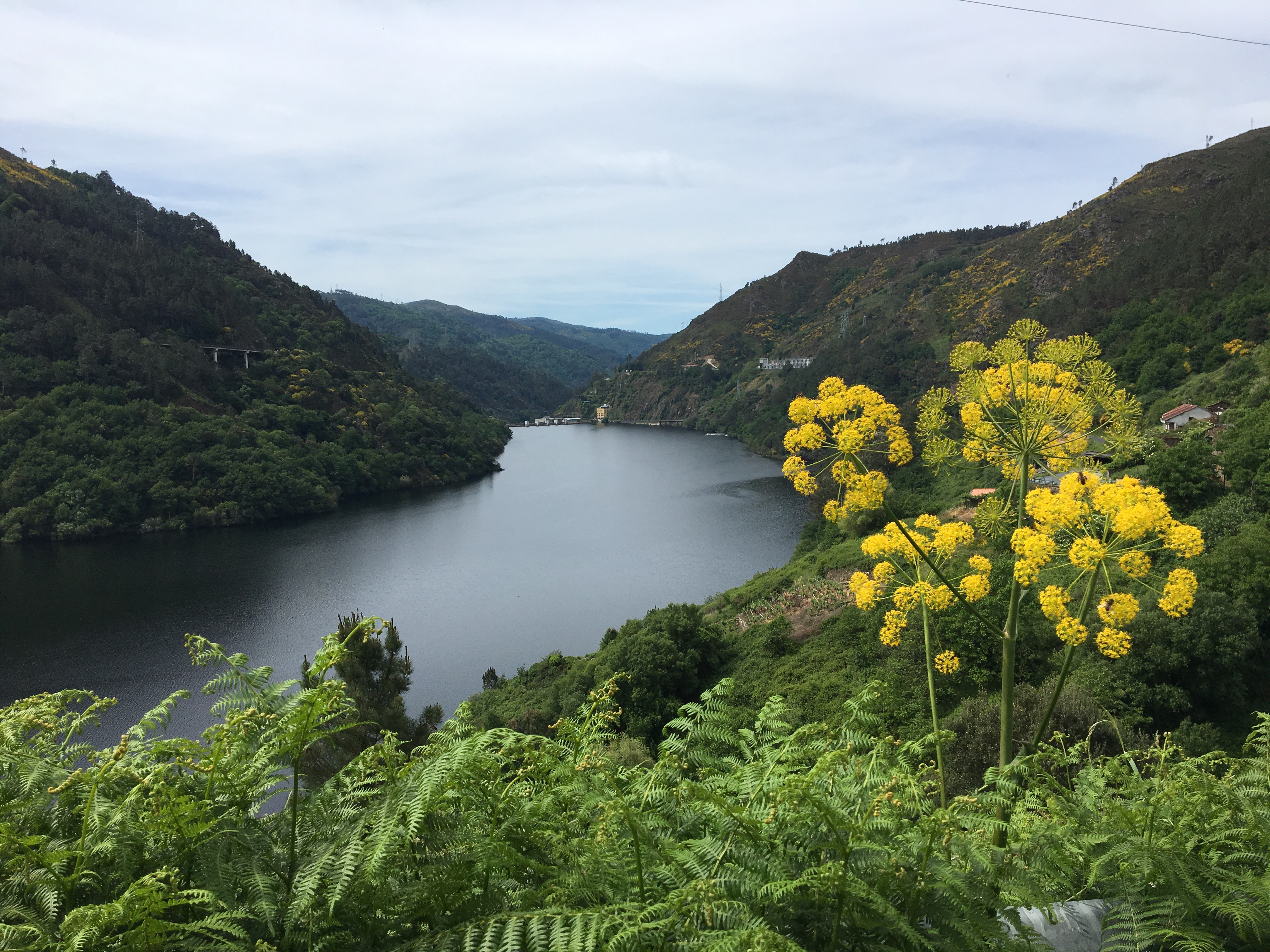 This image has an empty alt attribute; its file name is img_1267.jpg