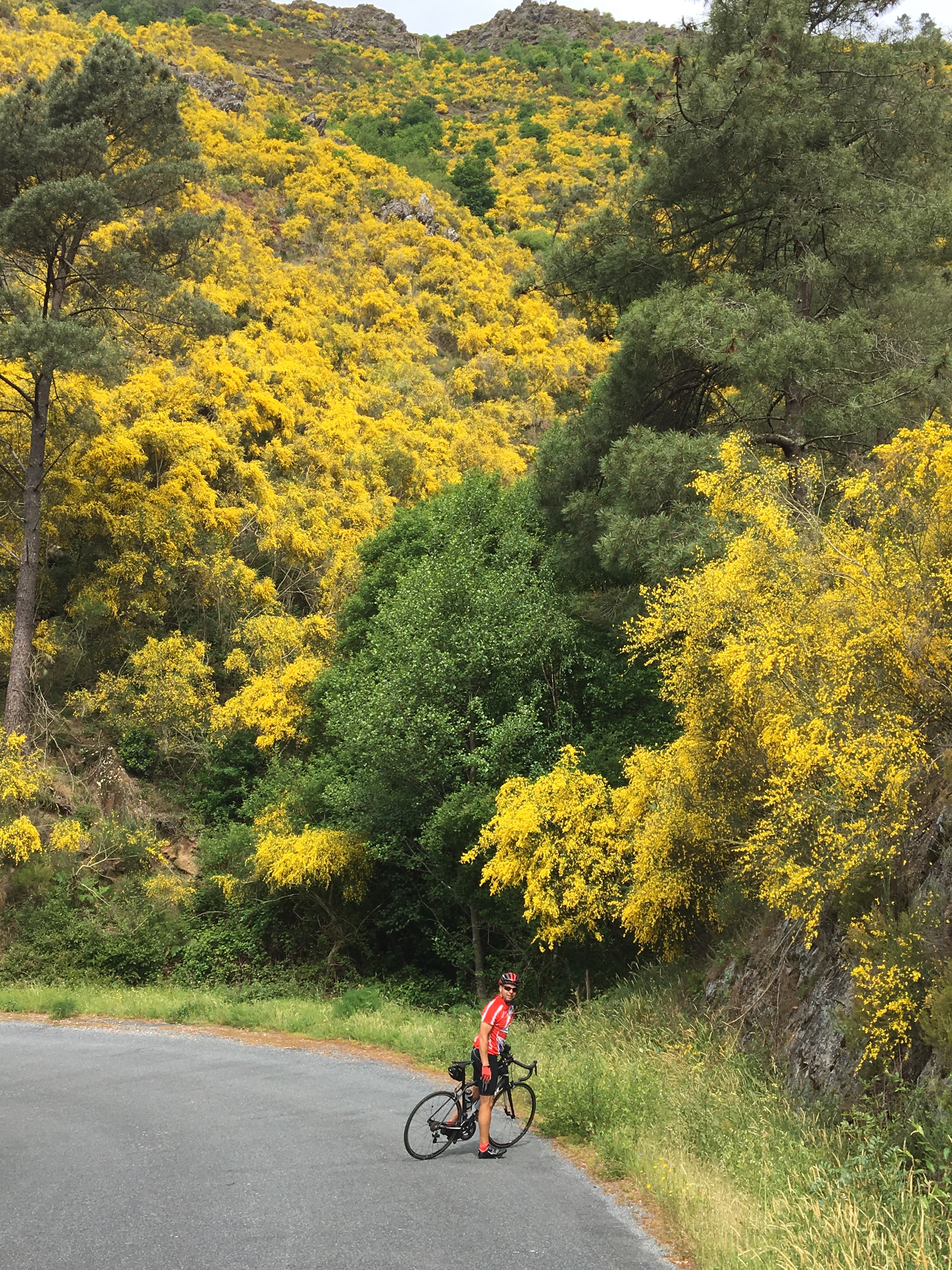 This image has an empty alt attribute; its file name is img_1273.jpg