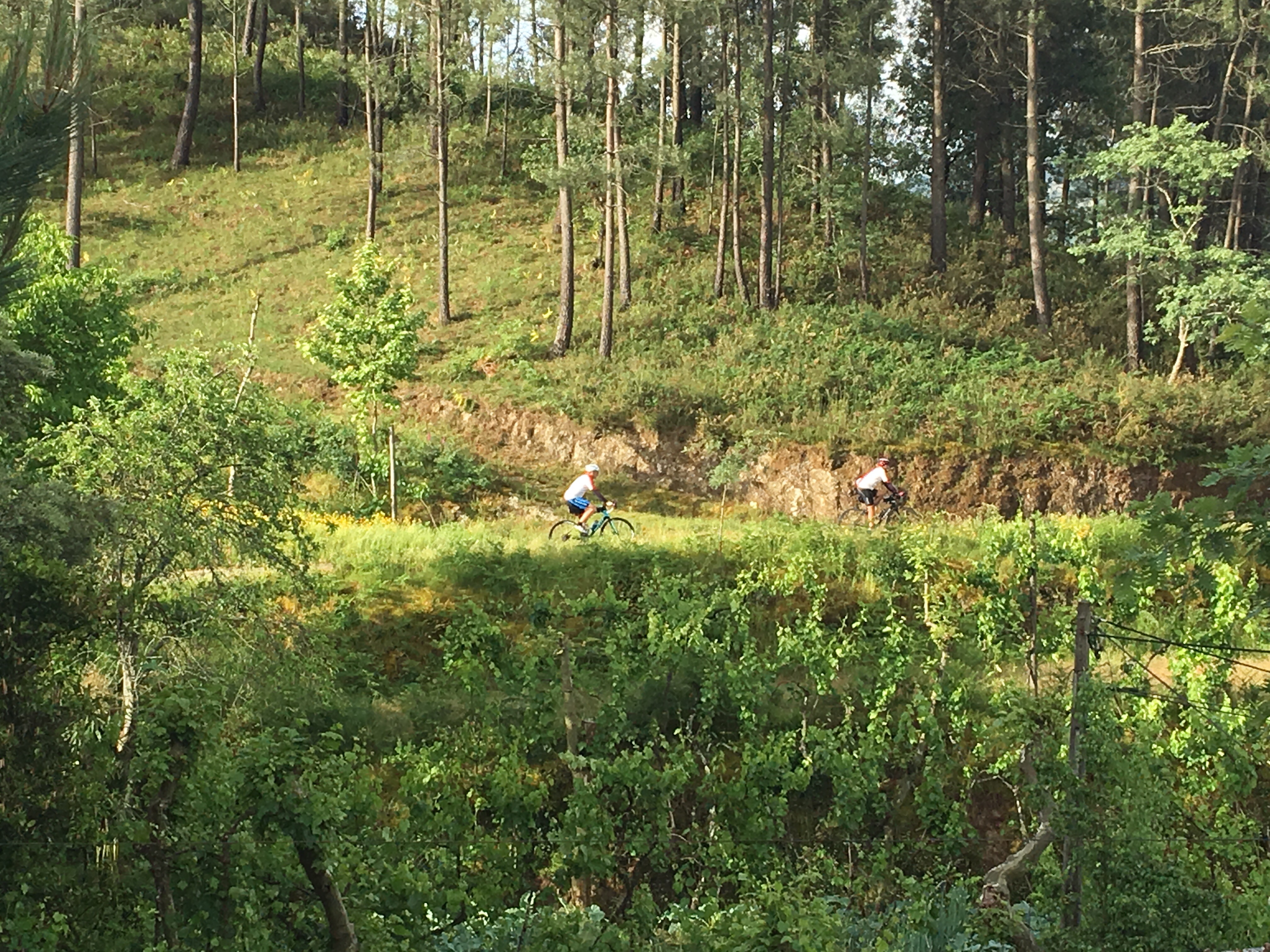 This image has an empty alt attribute; its file name is img_1381-1.jpg