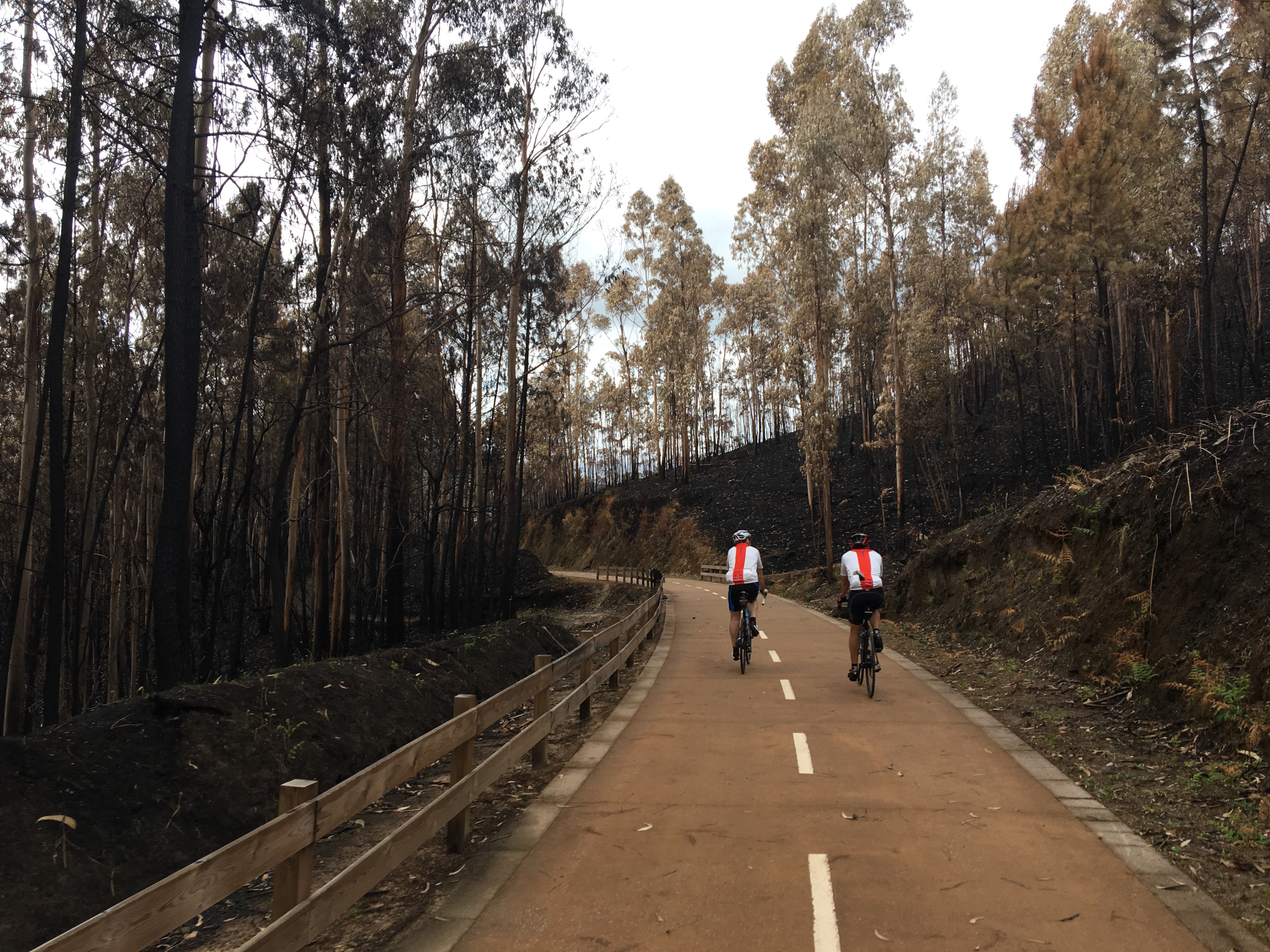 This image has an empty alt attribute; its file name is img_1443-1.jpg