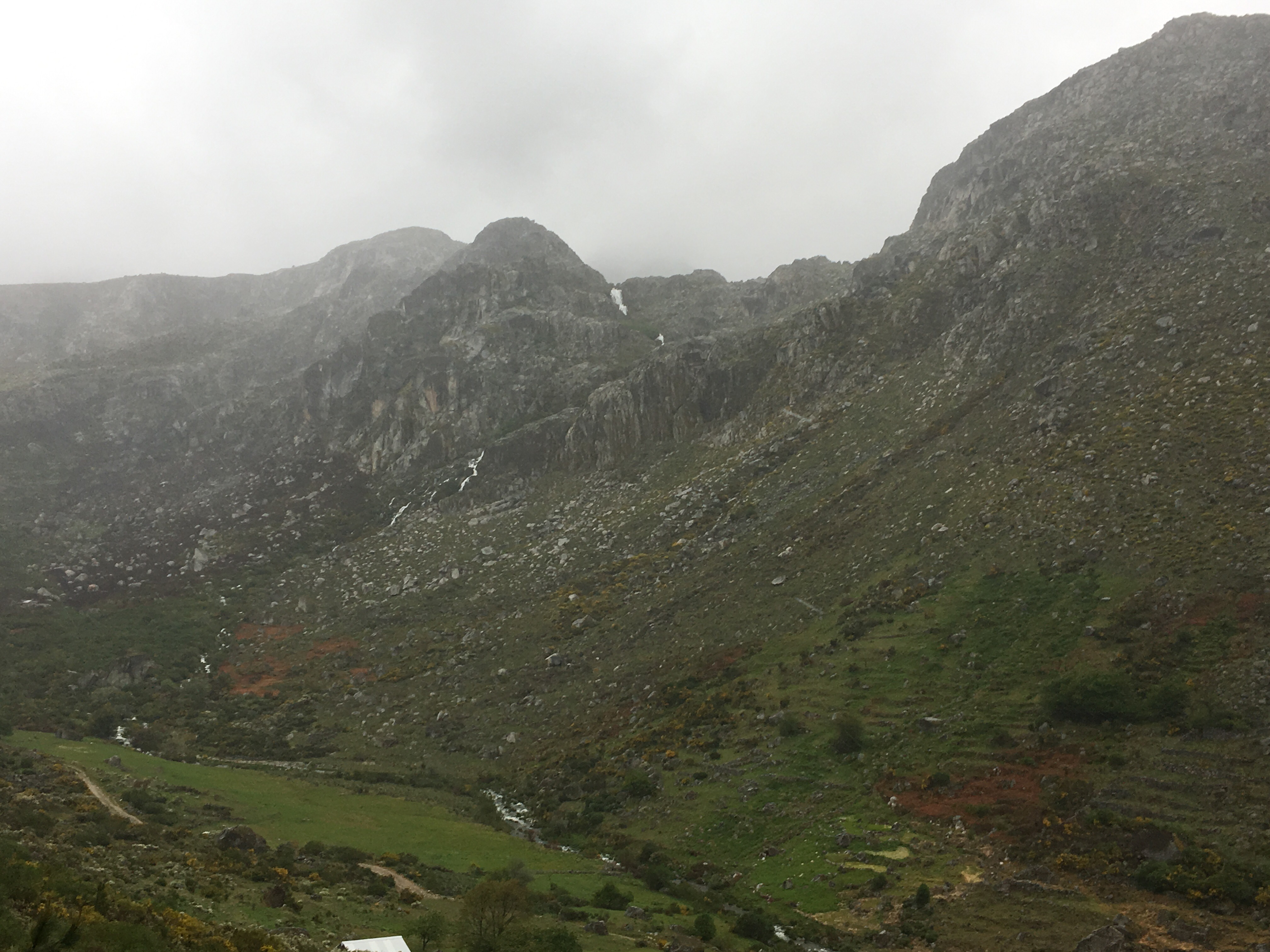 This image has an empty alt attribute; its file name is img_1479.jpg