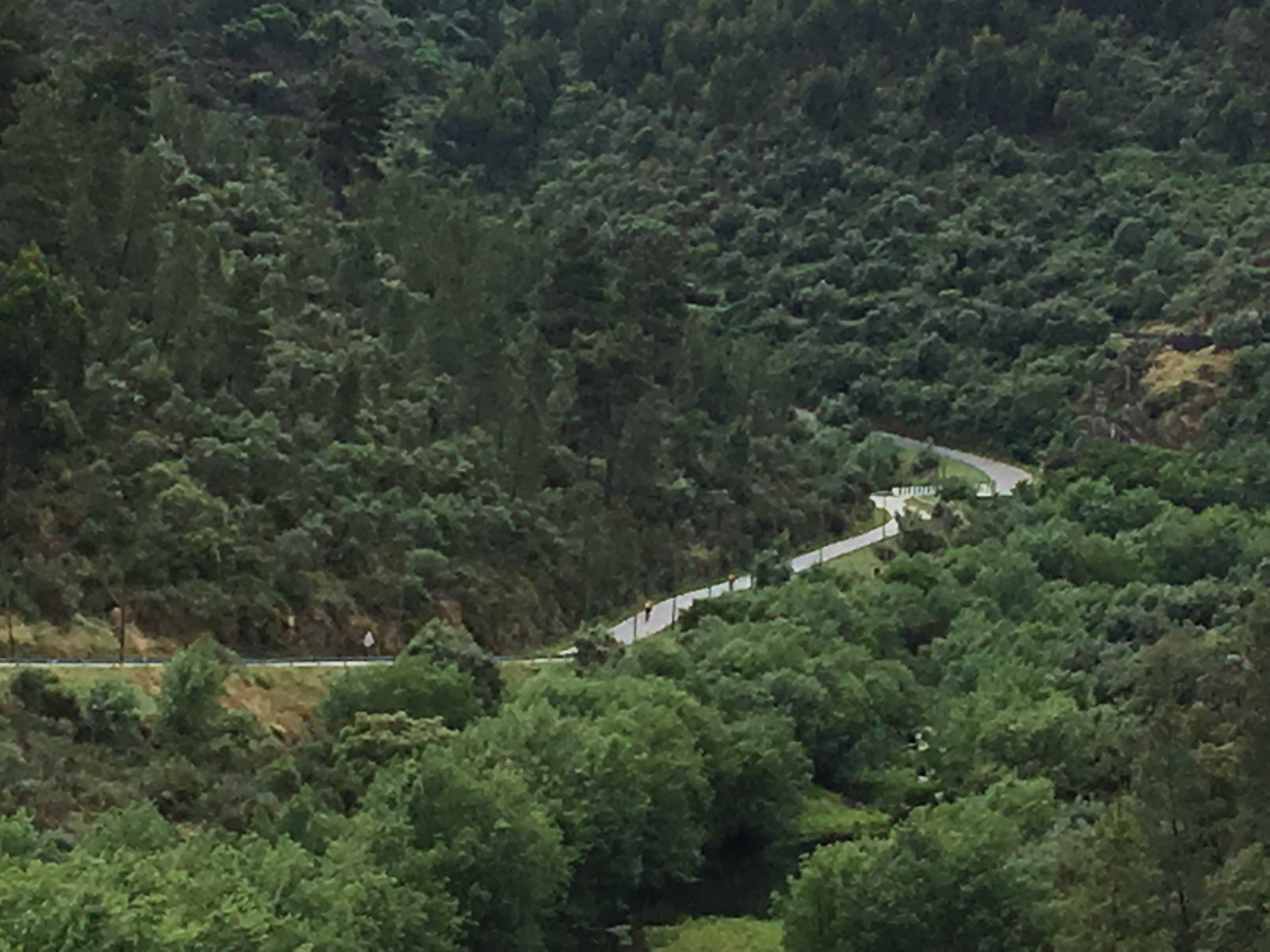 This image has an empty alt attribute; its file name is img_1511-1.jpg