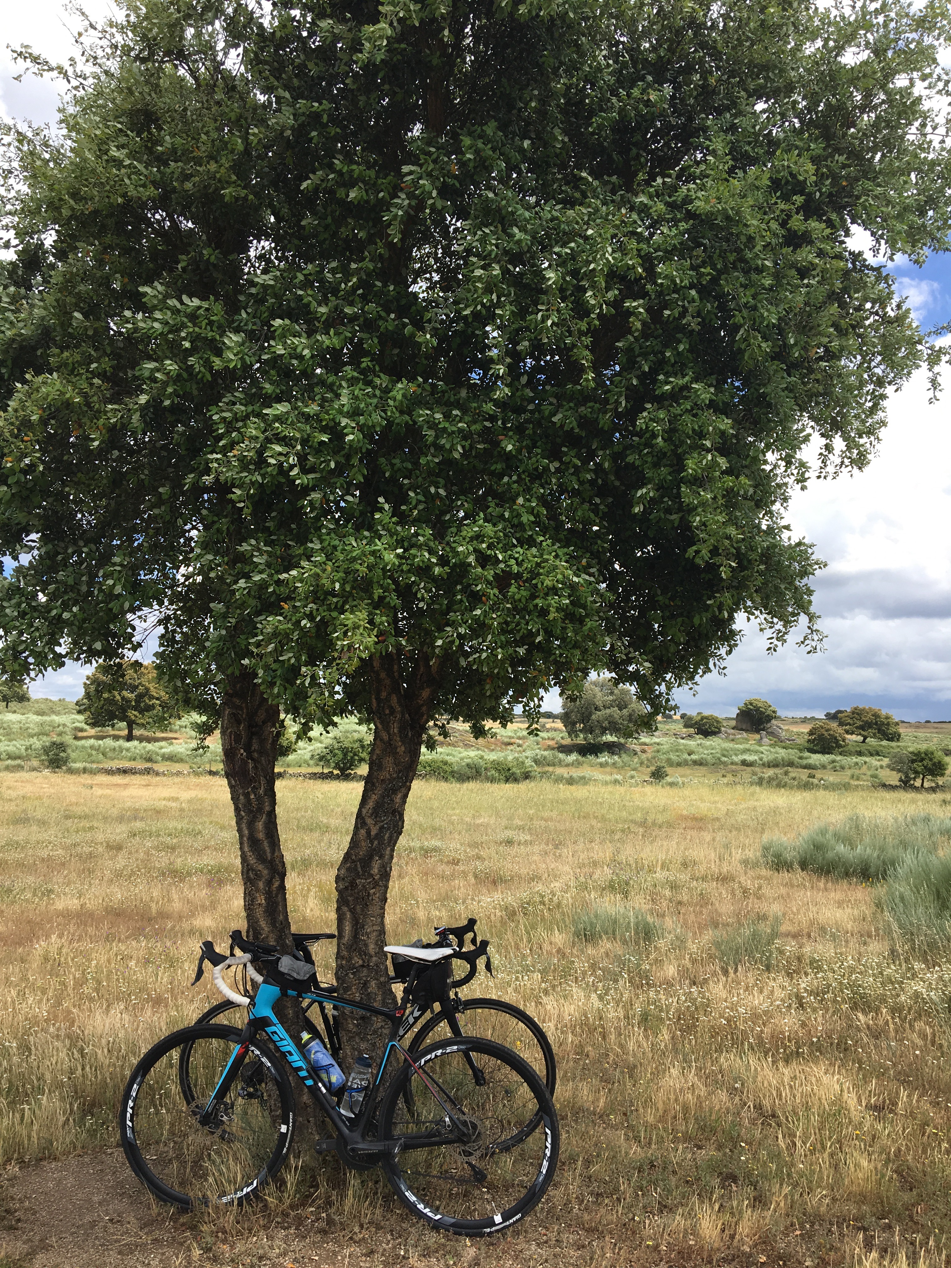 This image has an empty alt attribute; its file name is img_1525.jpg