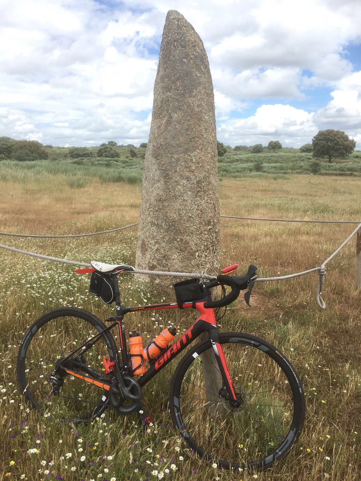 This image has an empty alt attribute; its file name is img_1546.jpg