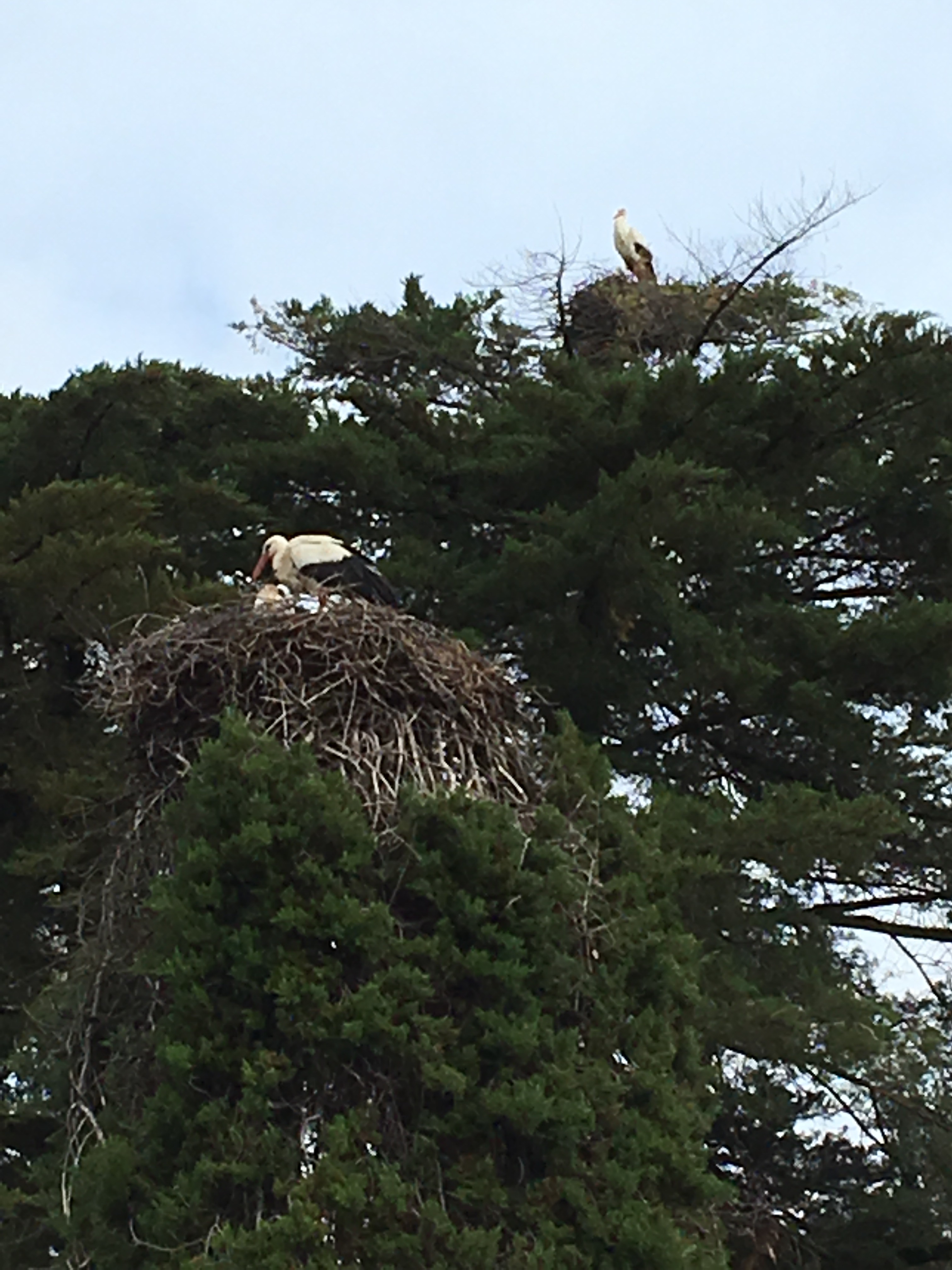 This image has an empty alt attribute; its file name is img_1562.jpg