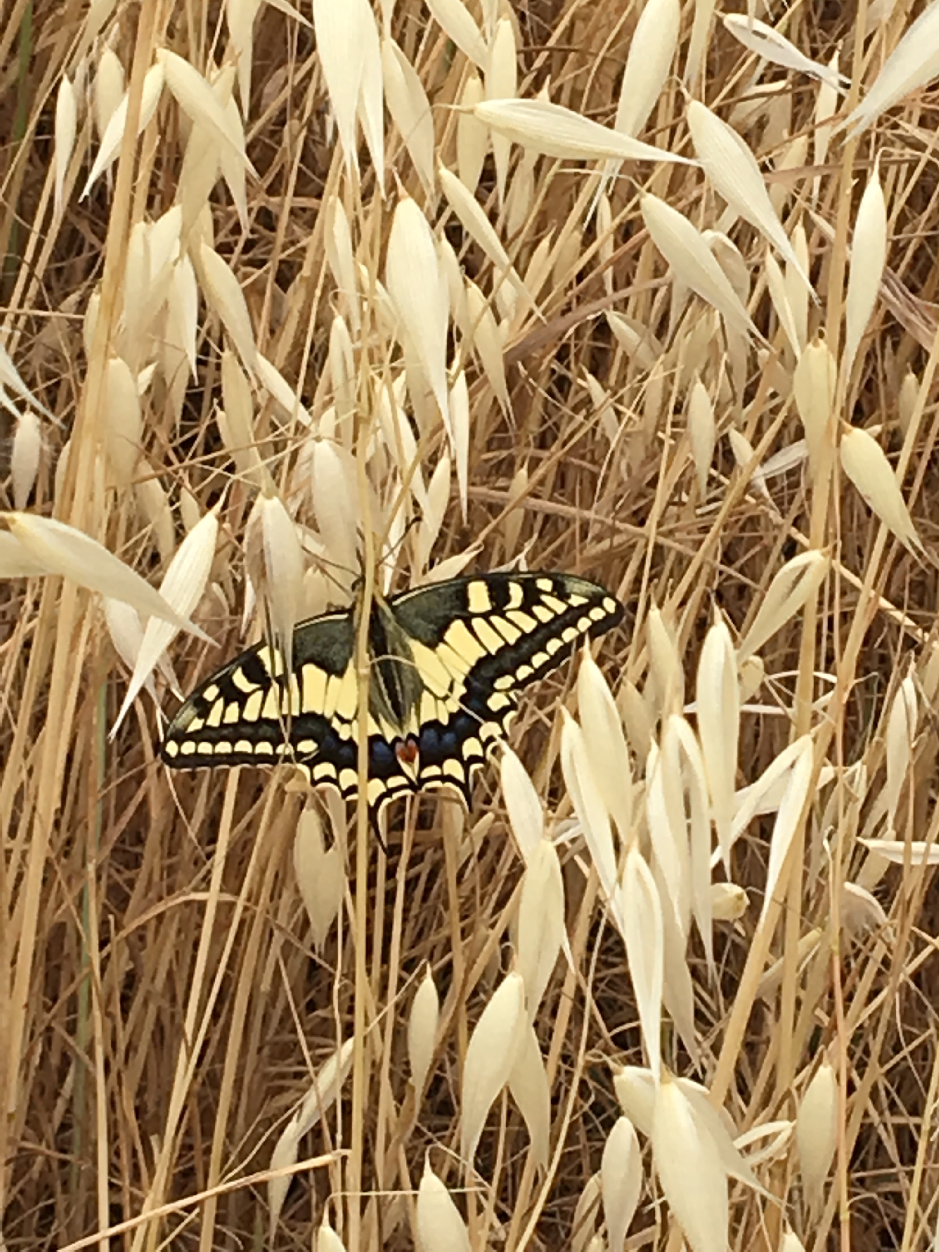 This image has an empty alt attribute; its file name is img_1582.jpg