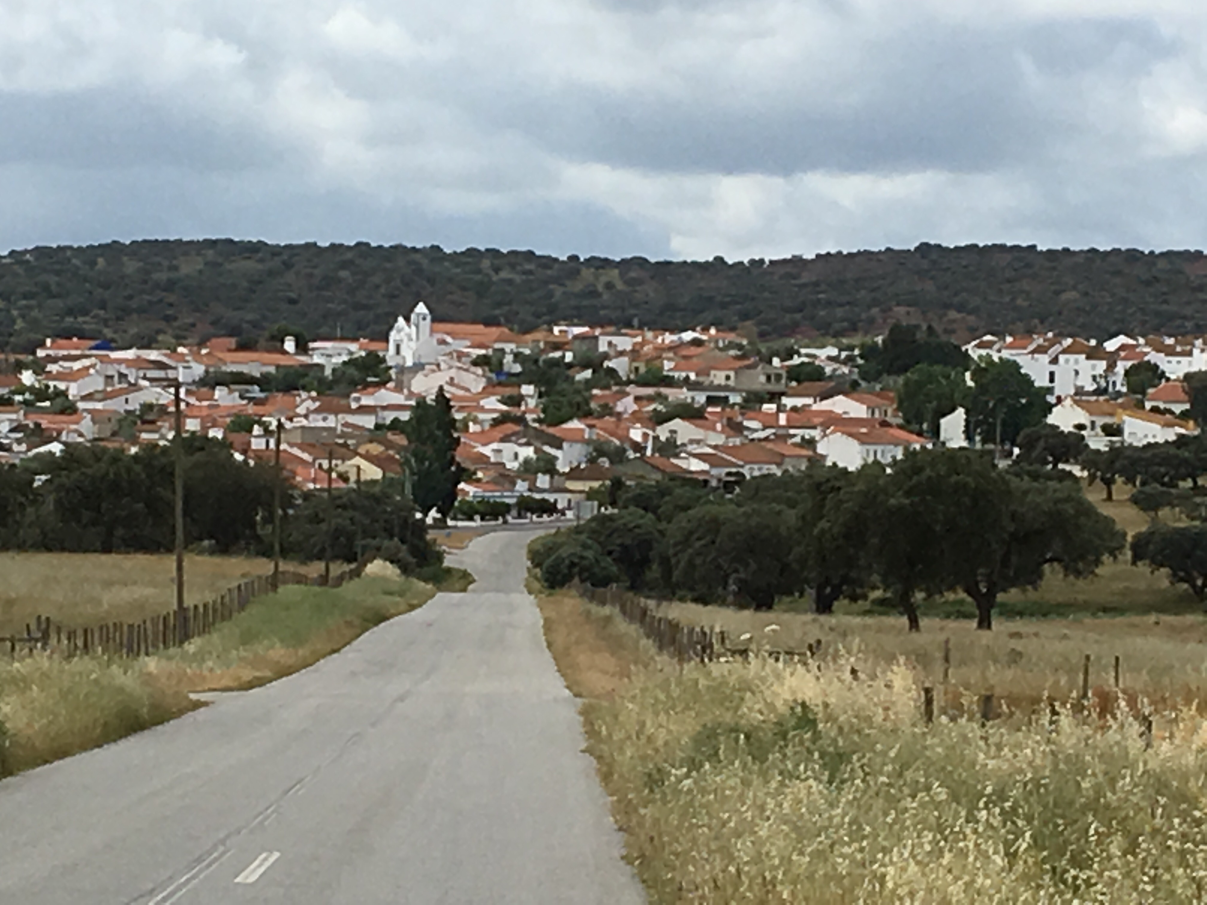 This image has an empty alt attribute; its file name is img_1584.jpg