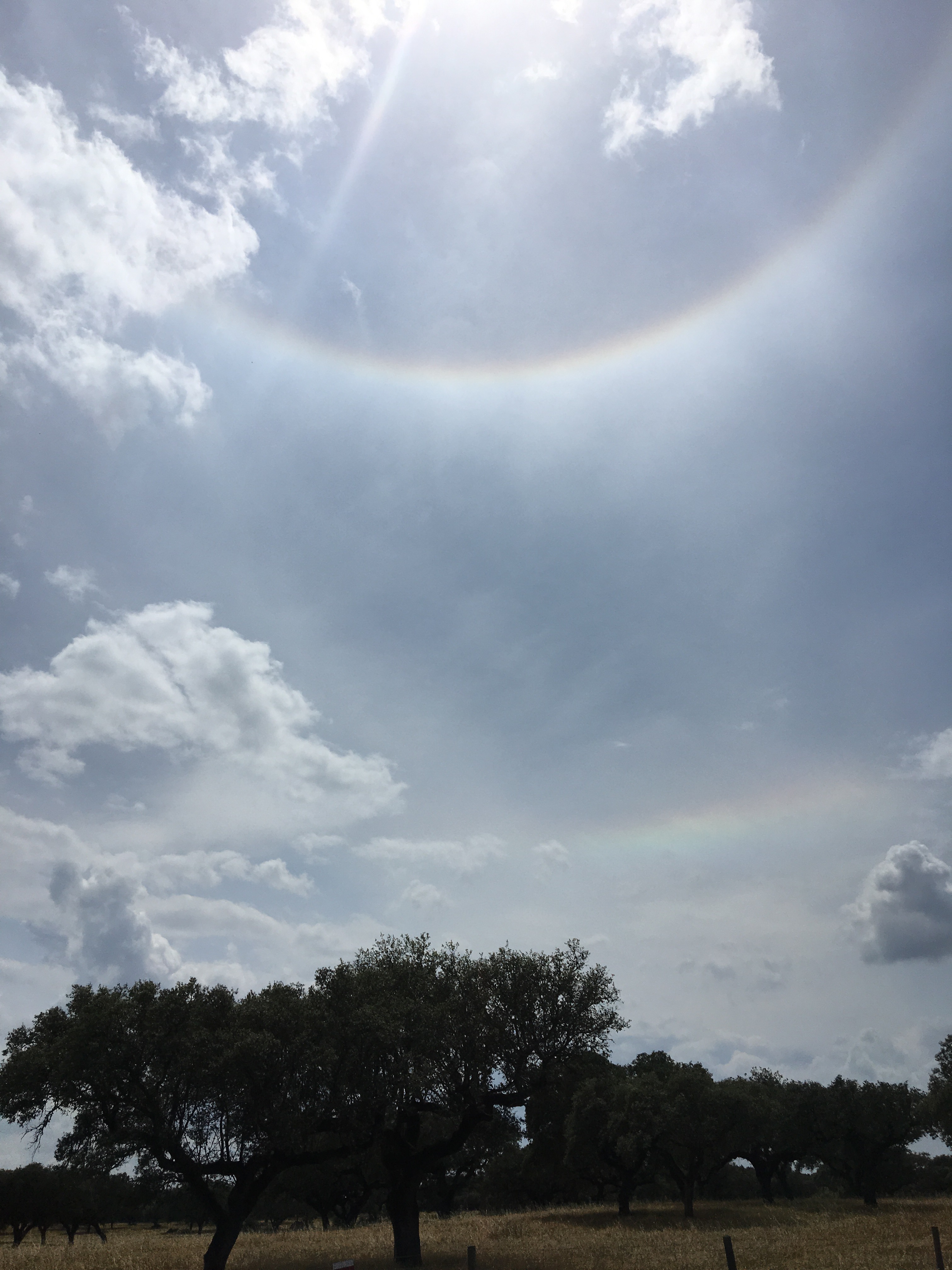 This image has an empty alt attribute; its file name is img_1596.jpg