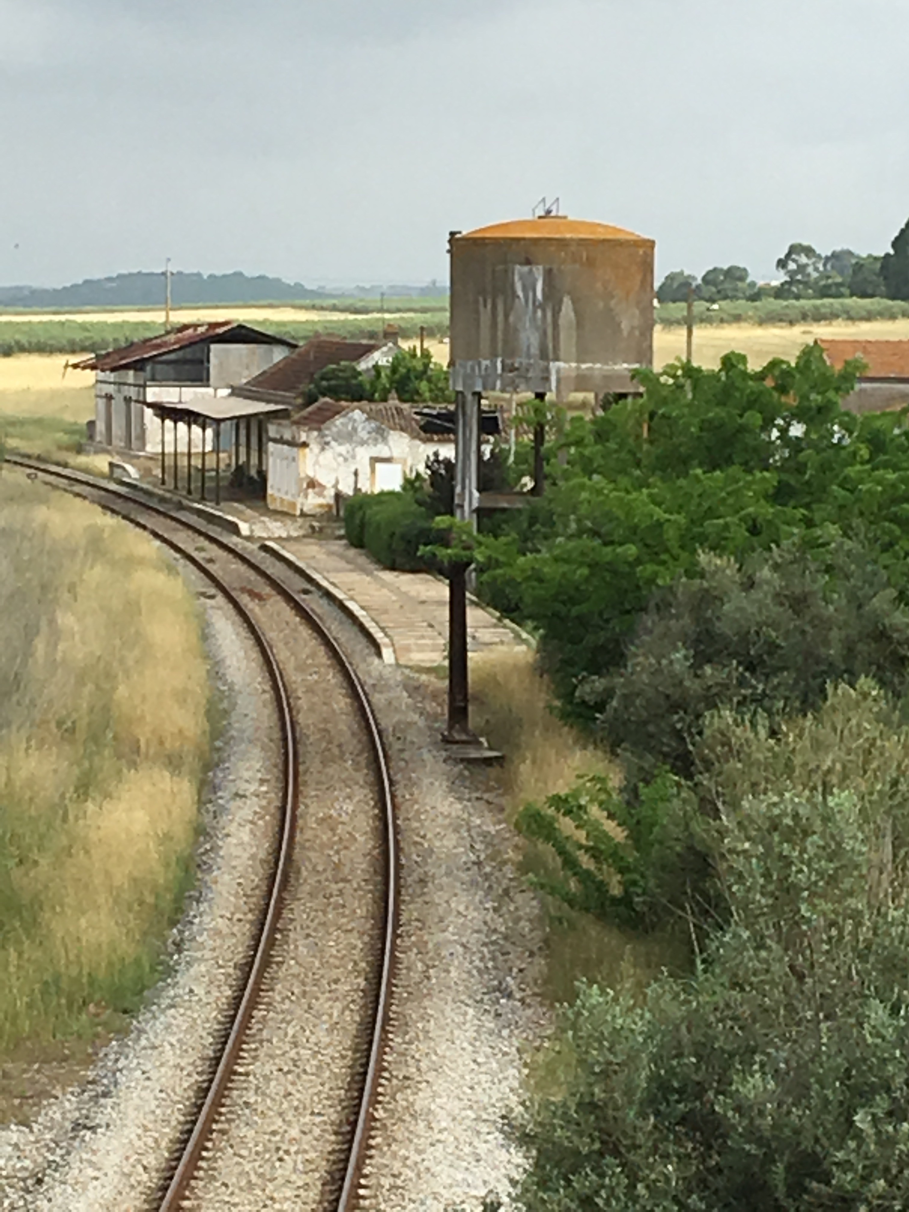 This image has an empty alt attribute; its file name is img_1618-1.jpg