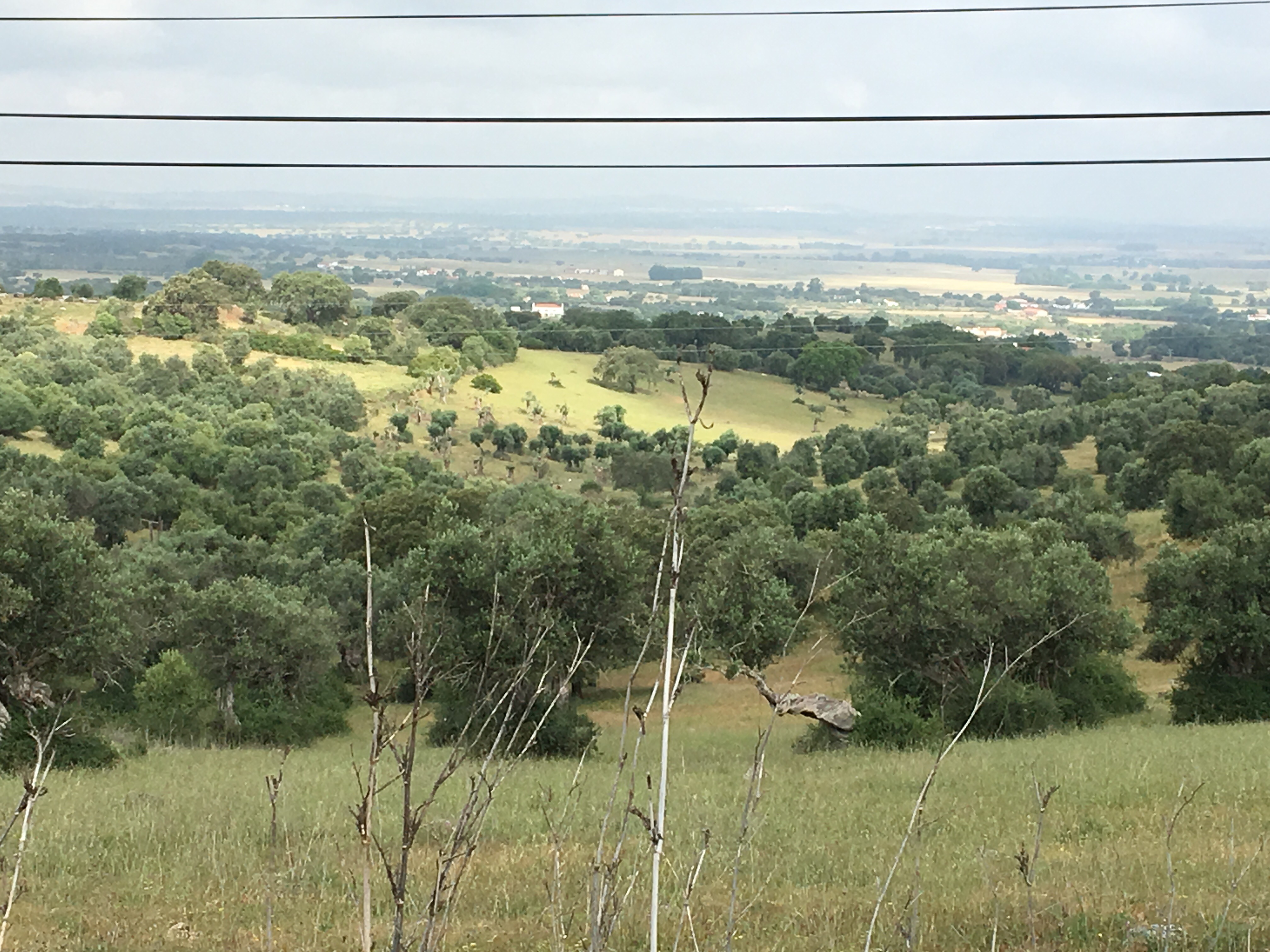 This image has an empty alt attribute; its file name is img_1620.jpg