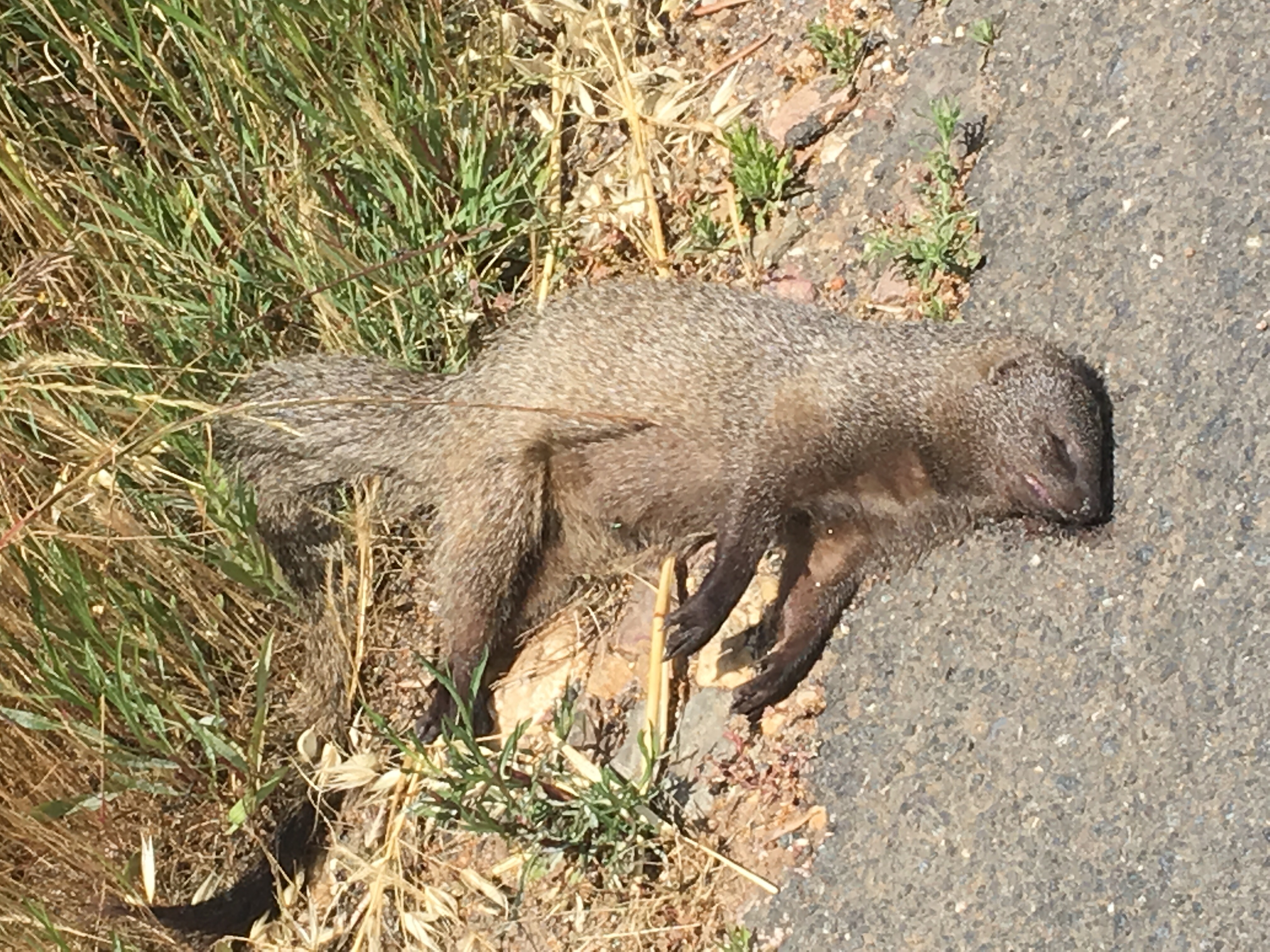 This image has an empty alt attribute; its file name is img_1634.jpg